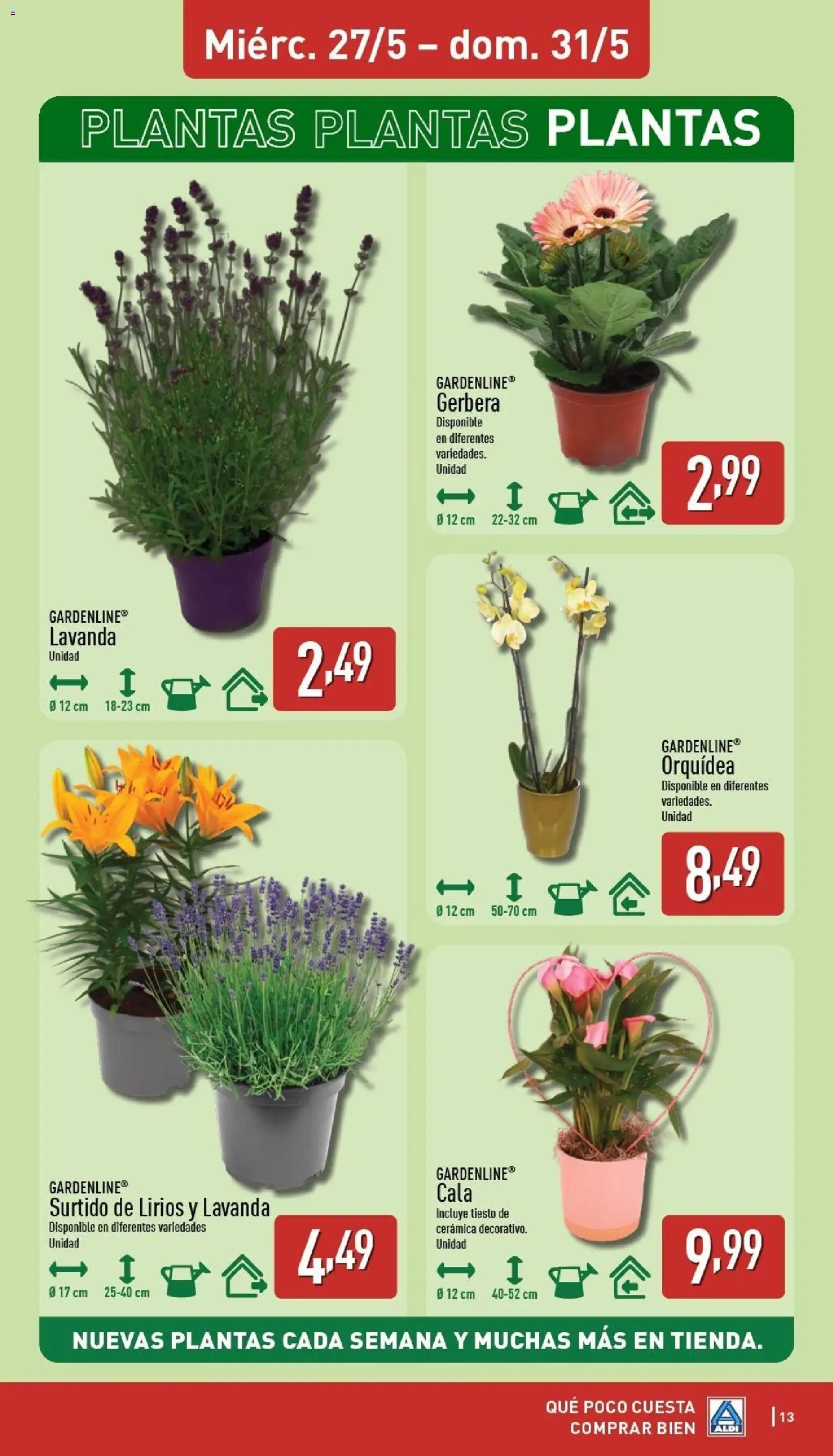 Aldi folleto Península │ válido desde el 25.05.2026 | Página: 13