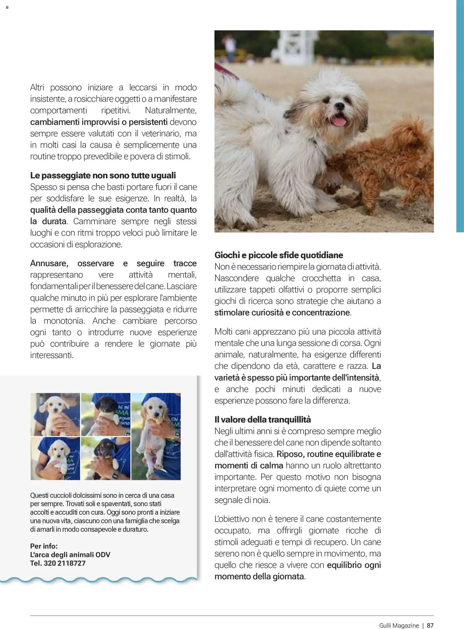 Volantino Gulliver del 01/07/2026 | Pagina: 86