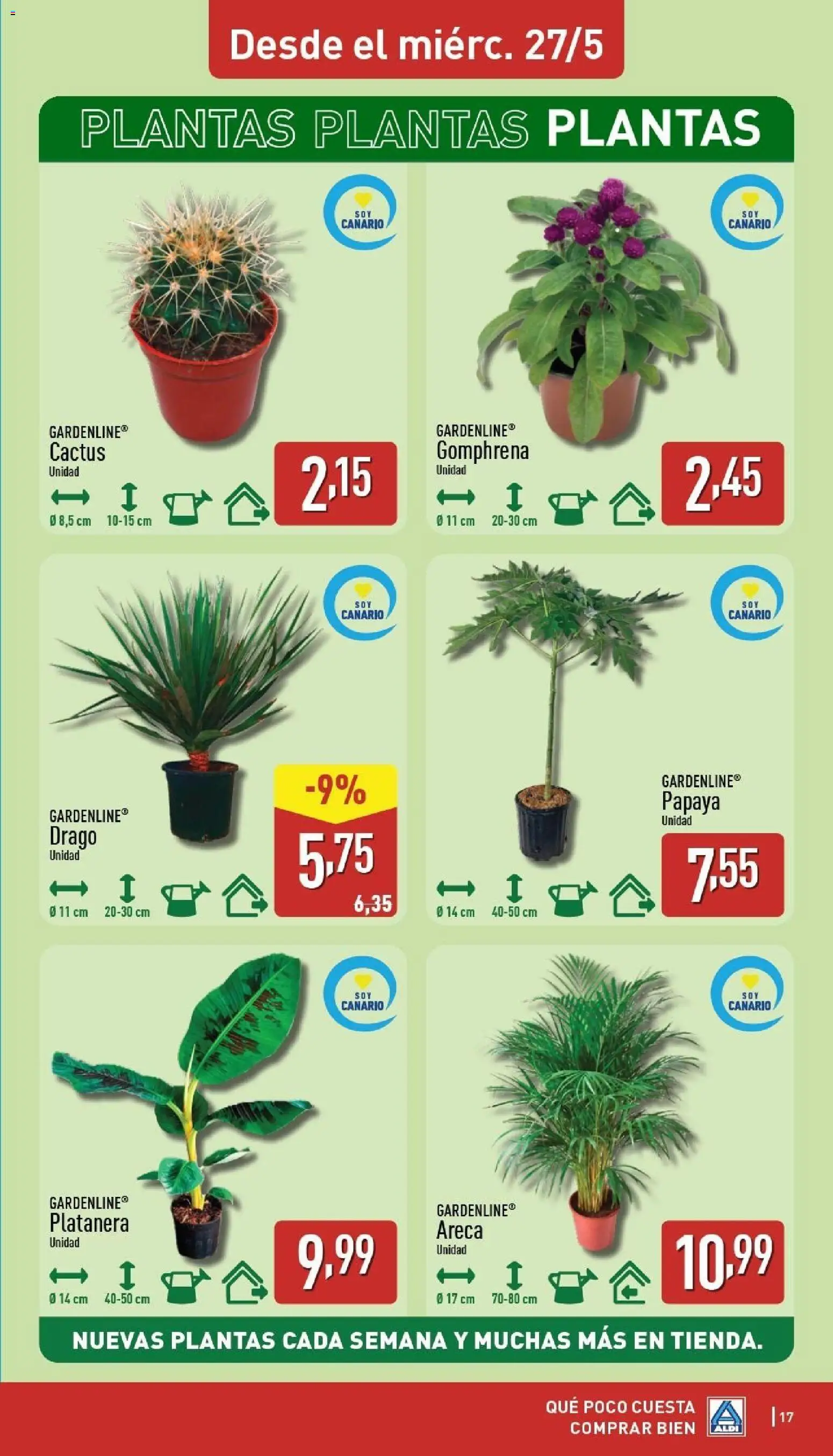Aldi folleto Canarias │ válido desde el 25.05.2026 | Página: 17