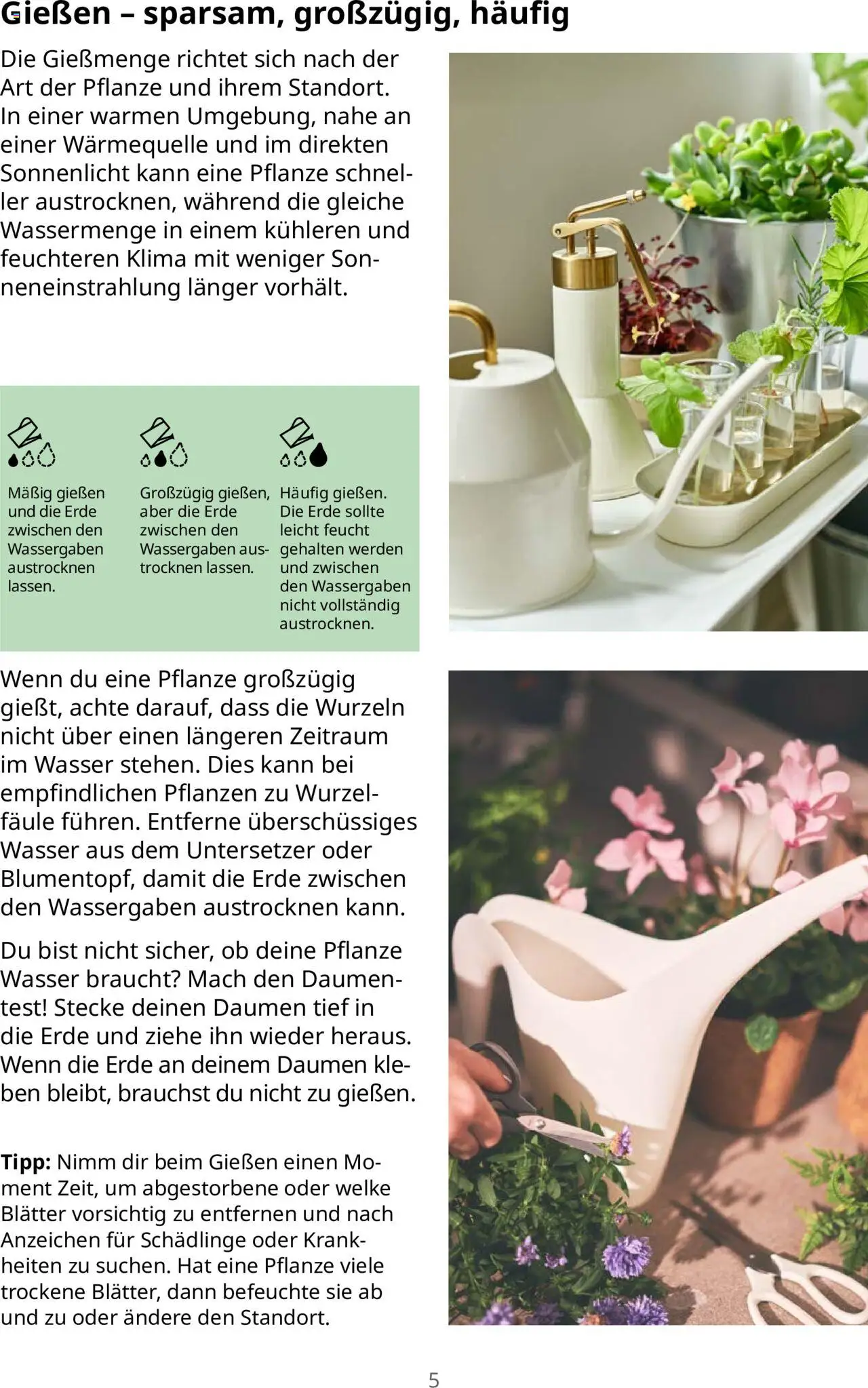 Ikea Pflanzen Broschüre – gültig ab 30.09.2025 | Seite: 5 | Produkte: Wasser