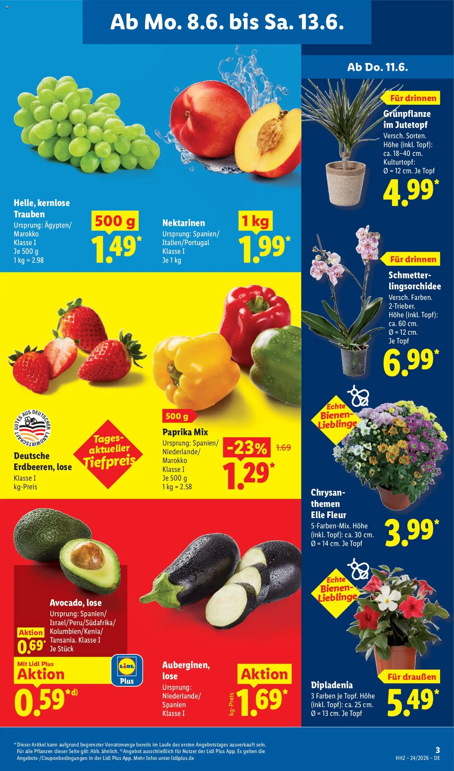 Lidl Prospekt – gültig ab 08.06.2026 | Seite: 7 | Produkte: Nektarinen, Trauben, Paprika