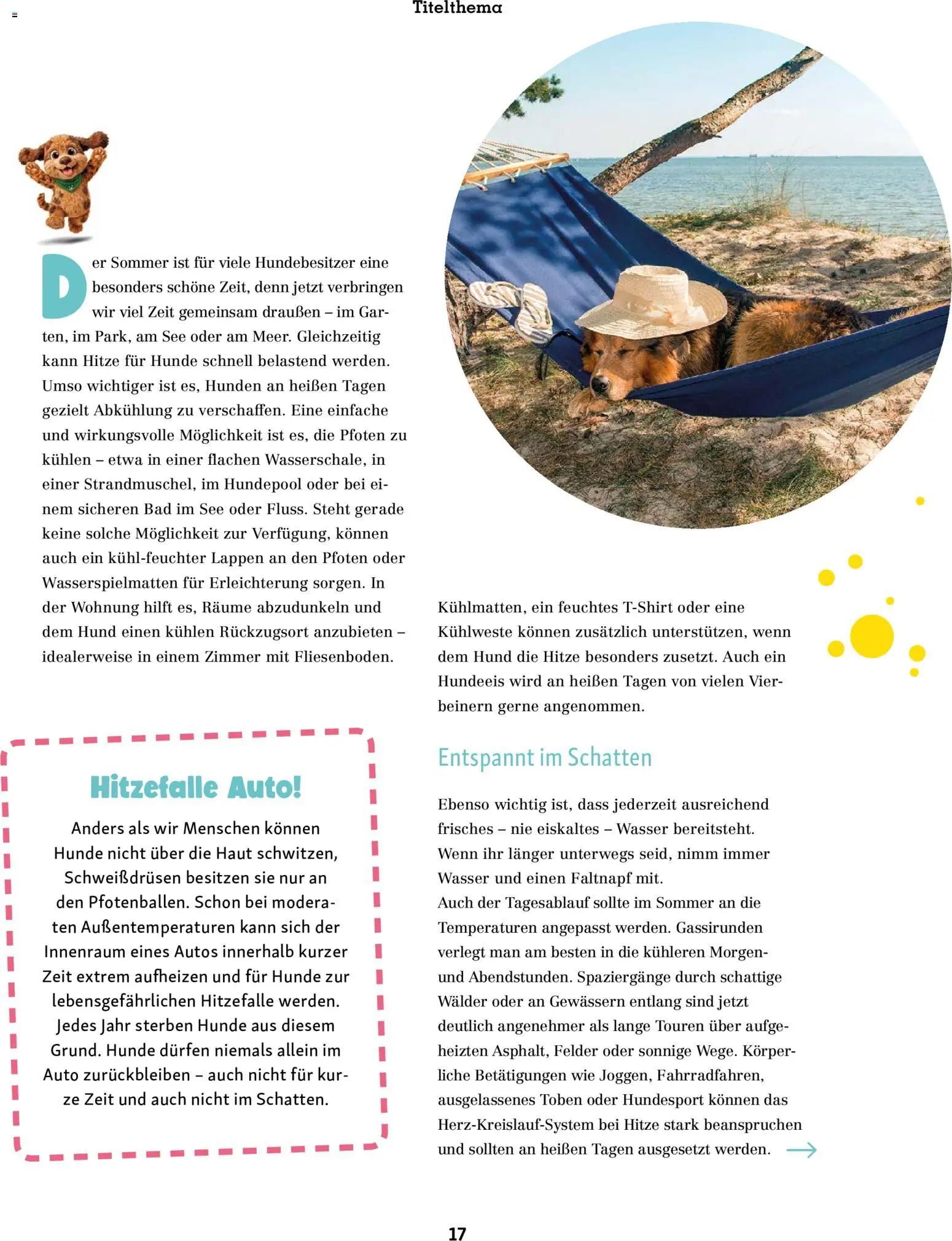 Fressnapf Friends Magazin – gültig ab 01.07.2026 | Seite: 17 | Produkte: Bad, Wasser