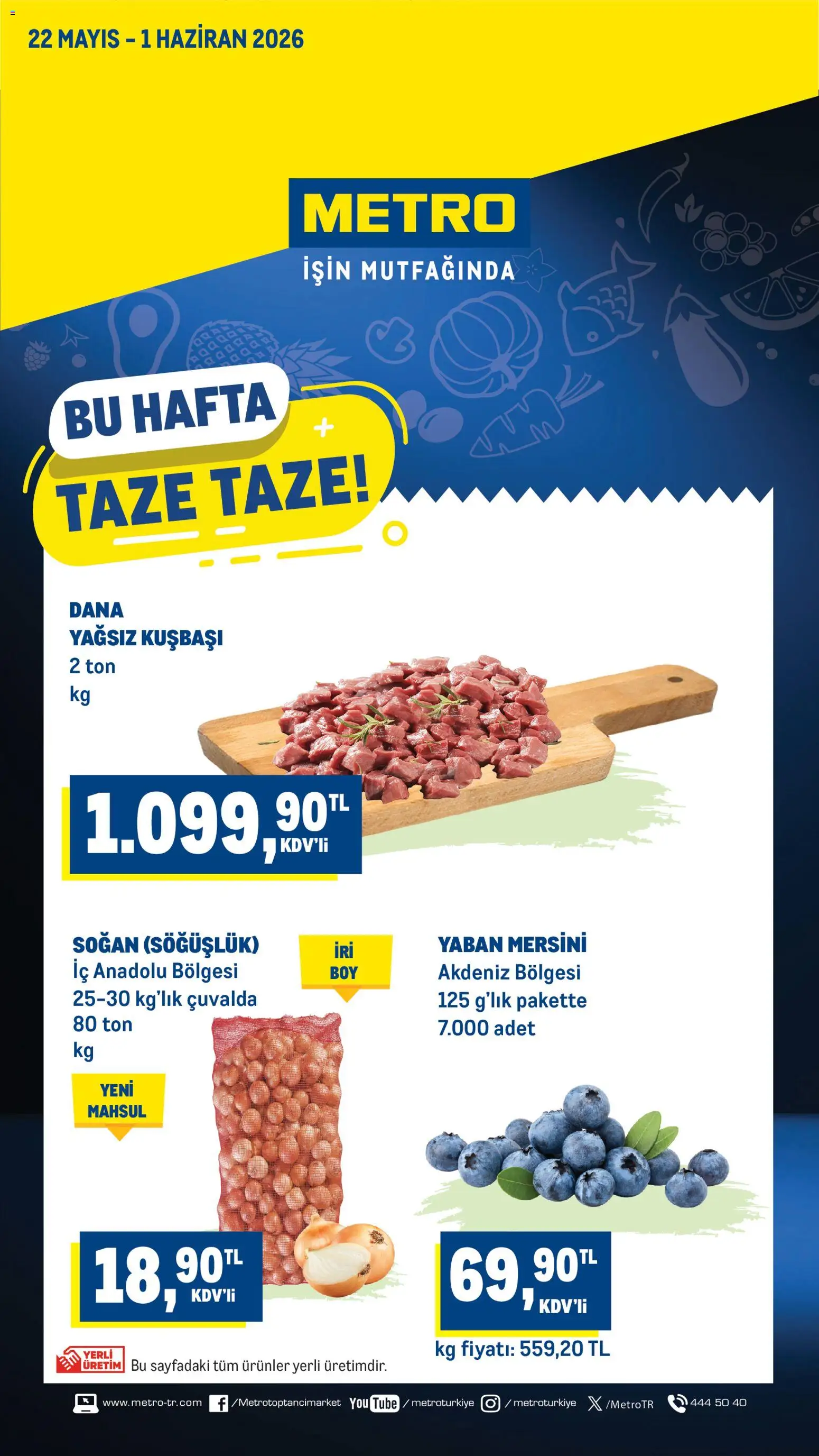 Metro Katalog - 22.05.2026 tarihinden itibaren geçerlidir | Sayfa: 1 | Ürünler: Soğan, Yaban mersini