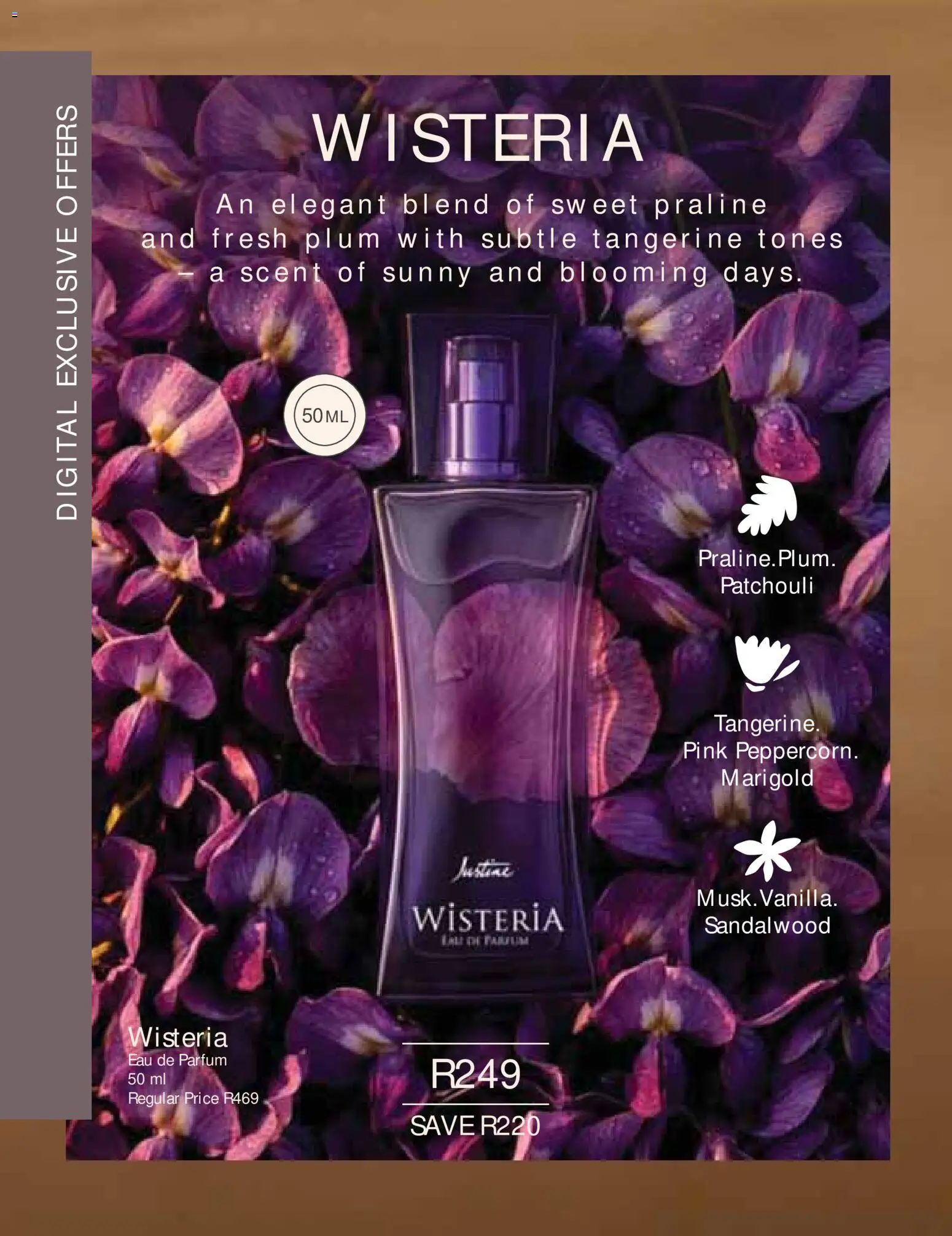 New Justine catalogue – valid from 01/08/2026 | Page: 20