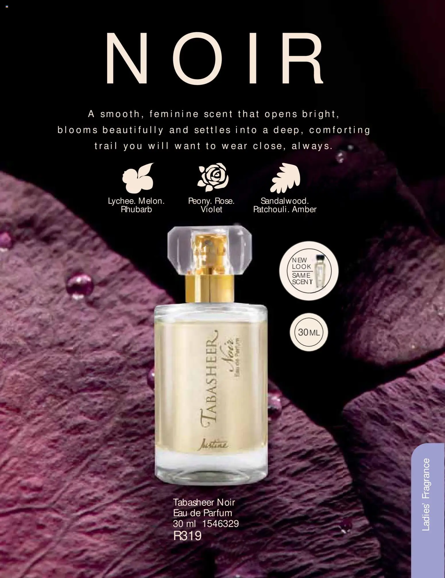 New Justine catalogue – valid from 01.06.2026 | Page: 62