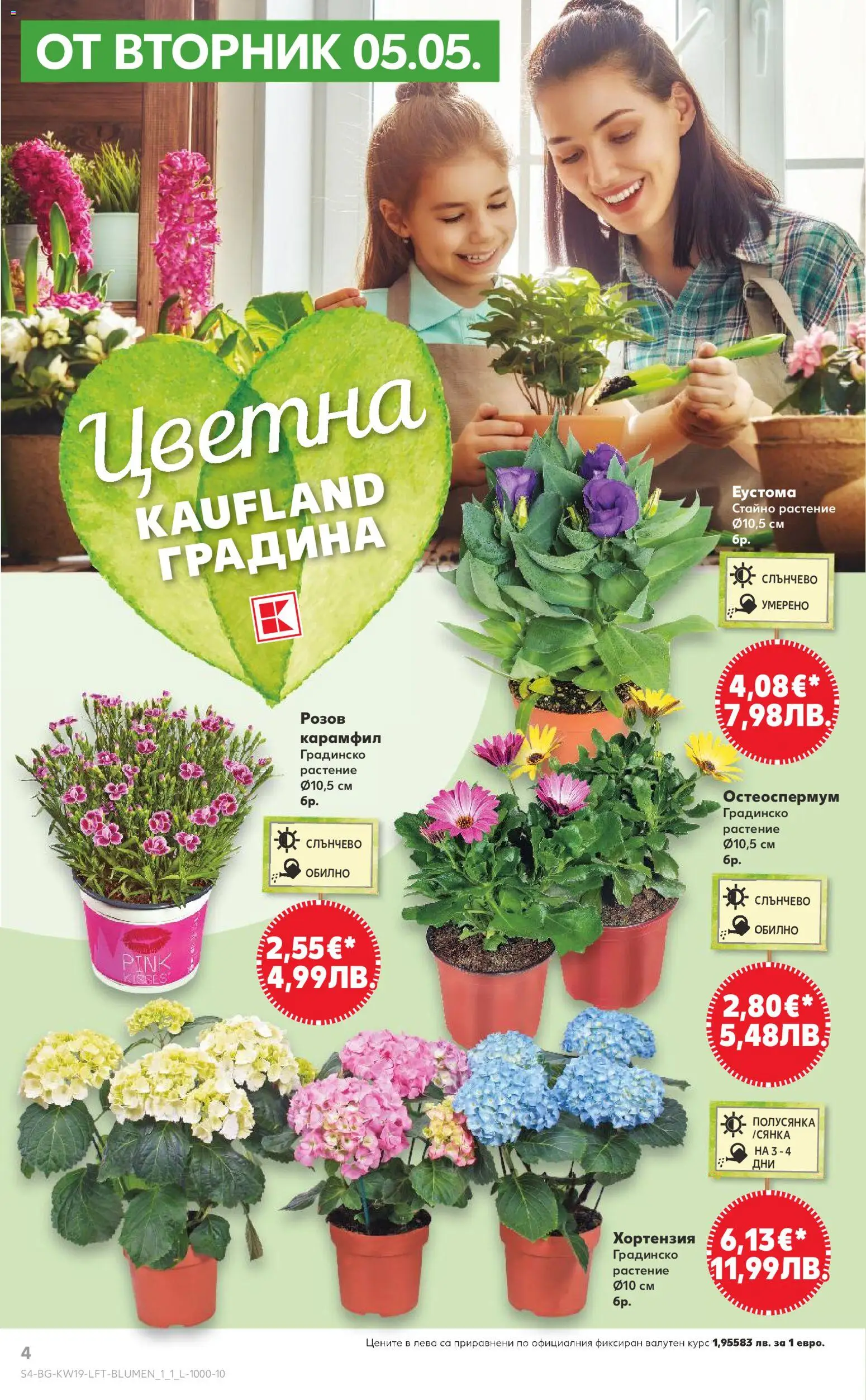 {H1} | Страница: 4 | Продукти: Карамфил
