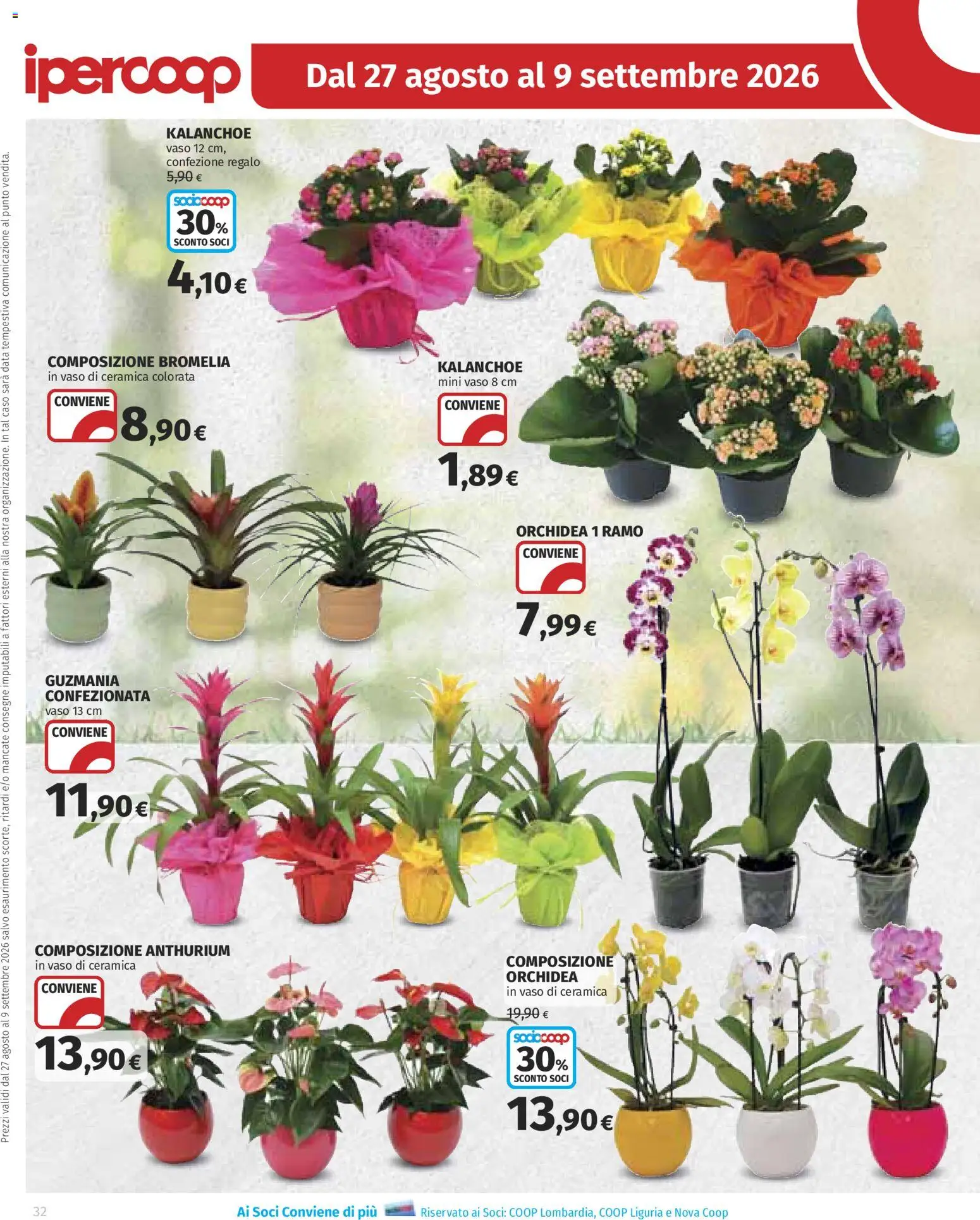 Volantino Ipercoop del 27/08/2026 | Pagina: 32 | Prodotti: Data, Orchidea, Vaso