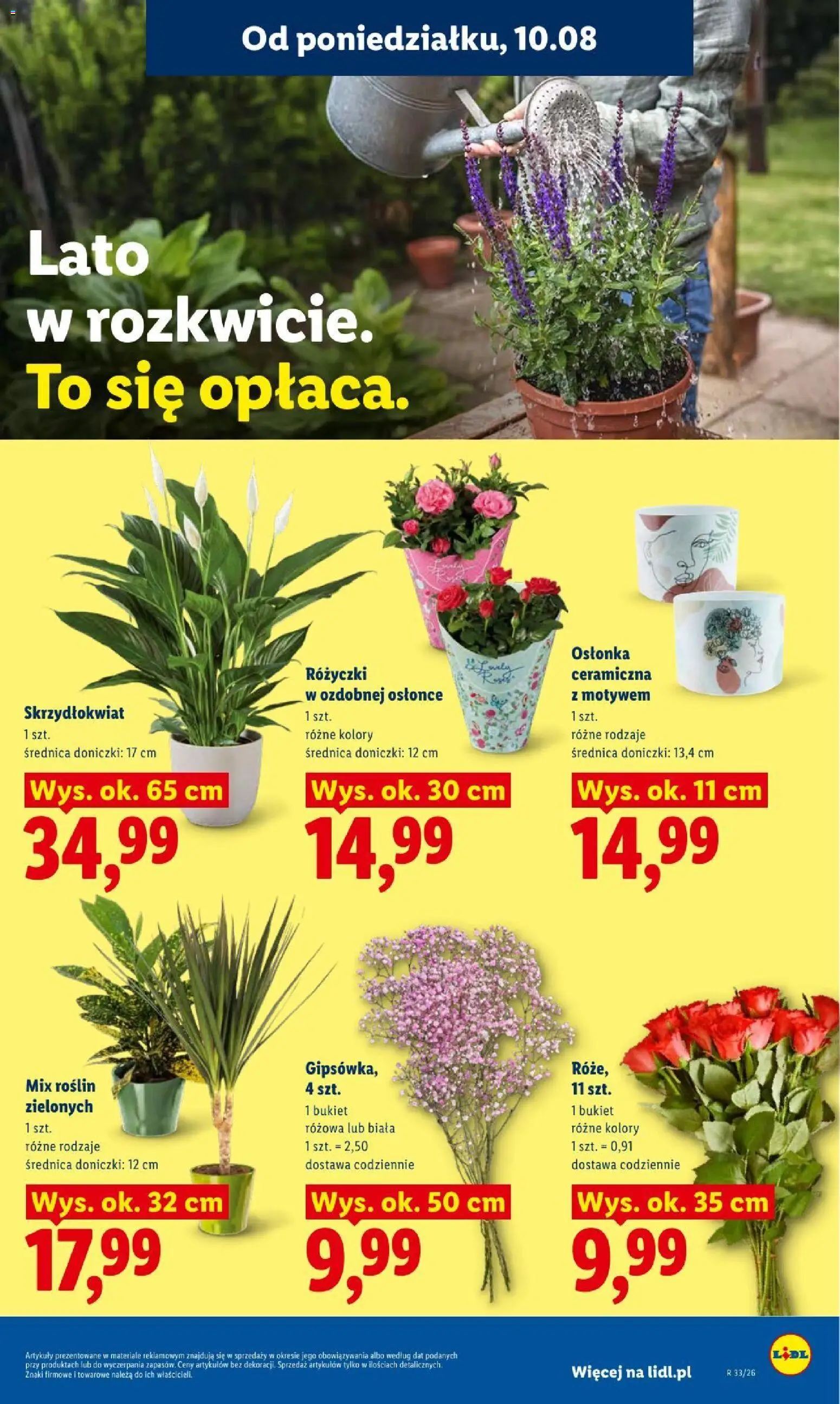 Lidl gazetka od 10.08.2026 | Strona: 93