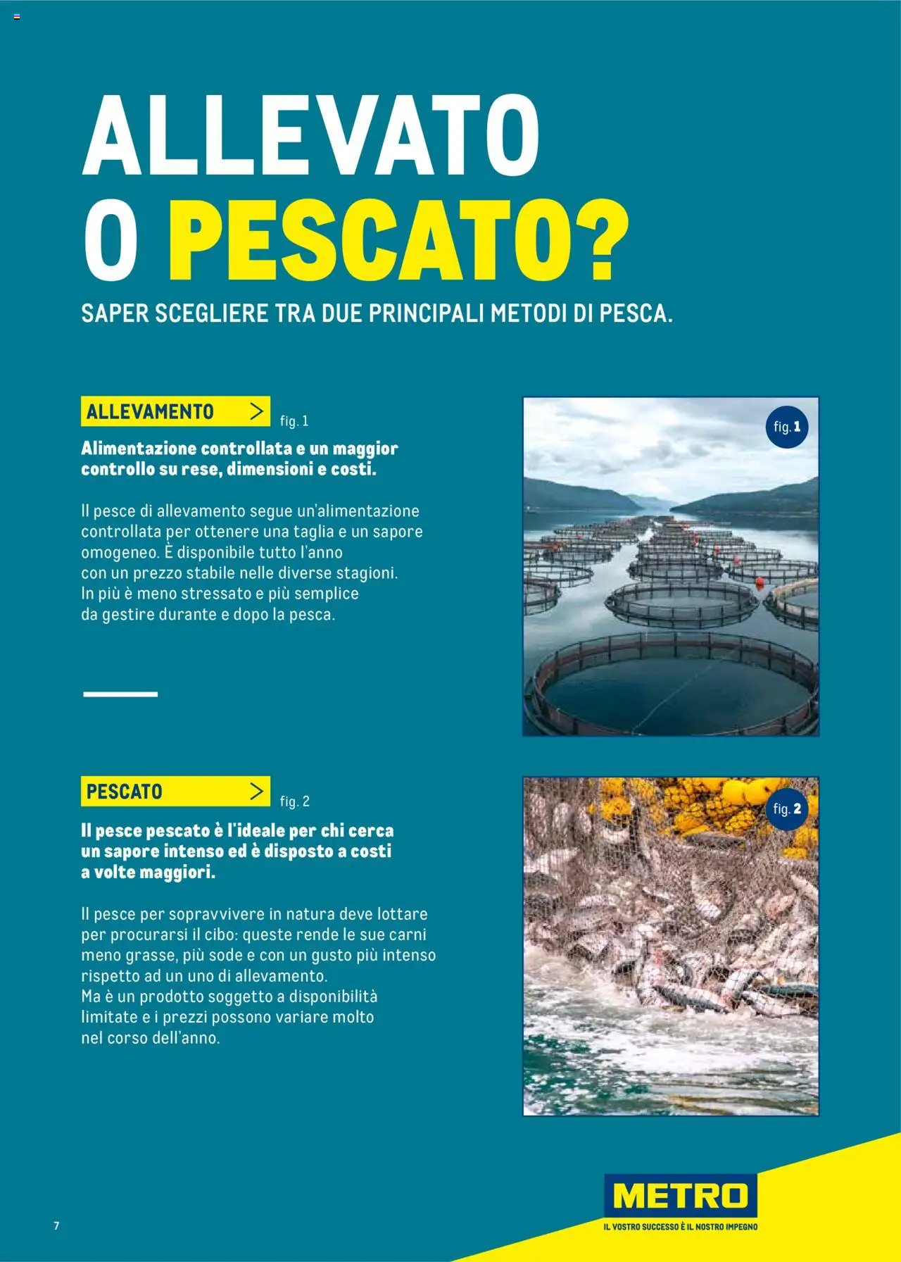 Volantino Metro del 30.06.2025 | Pagina: 7 | Prodotti: Pesce, Il pesce