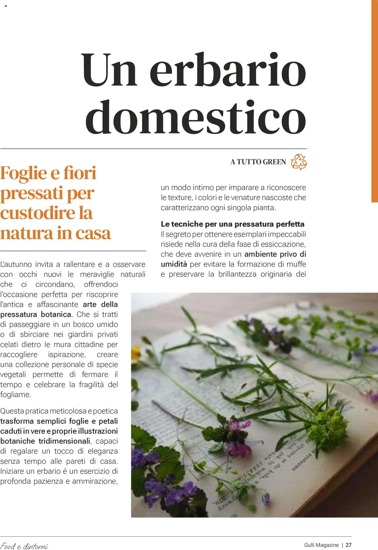 Volantino Gulliver del 01/10/2026 | Pagina: 27 | Prodotti: Intimo, Fiori