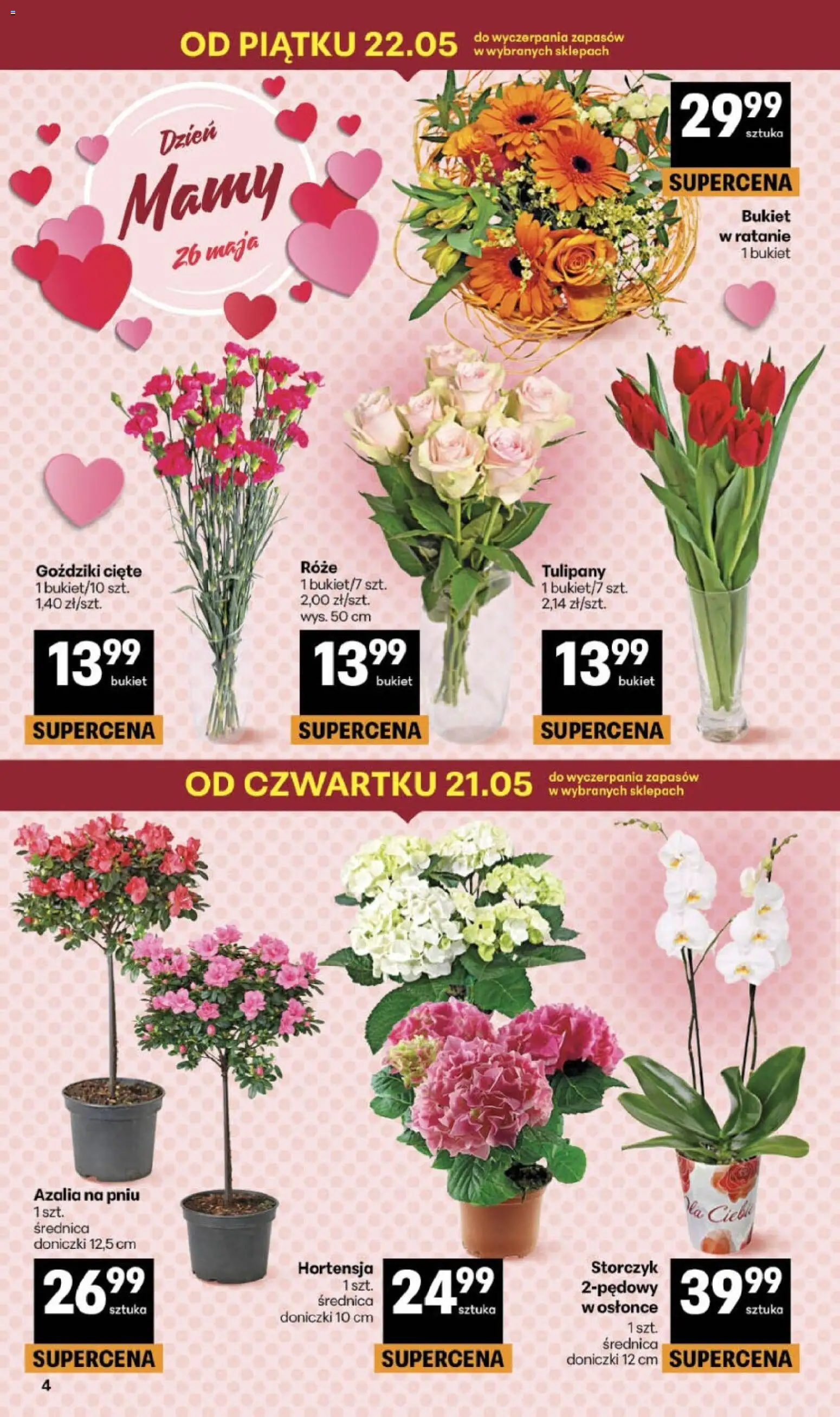 Delikatesy Centrum gazetka od 21.05.2026 | Strona: 4 | Produkty: Doniczki, Azalia na pniu, Storczyk, Tulipany