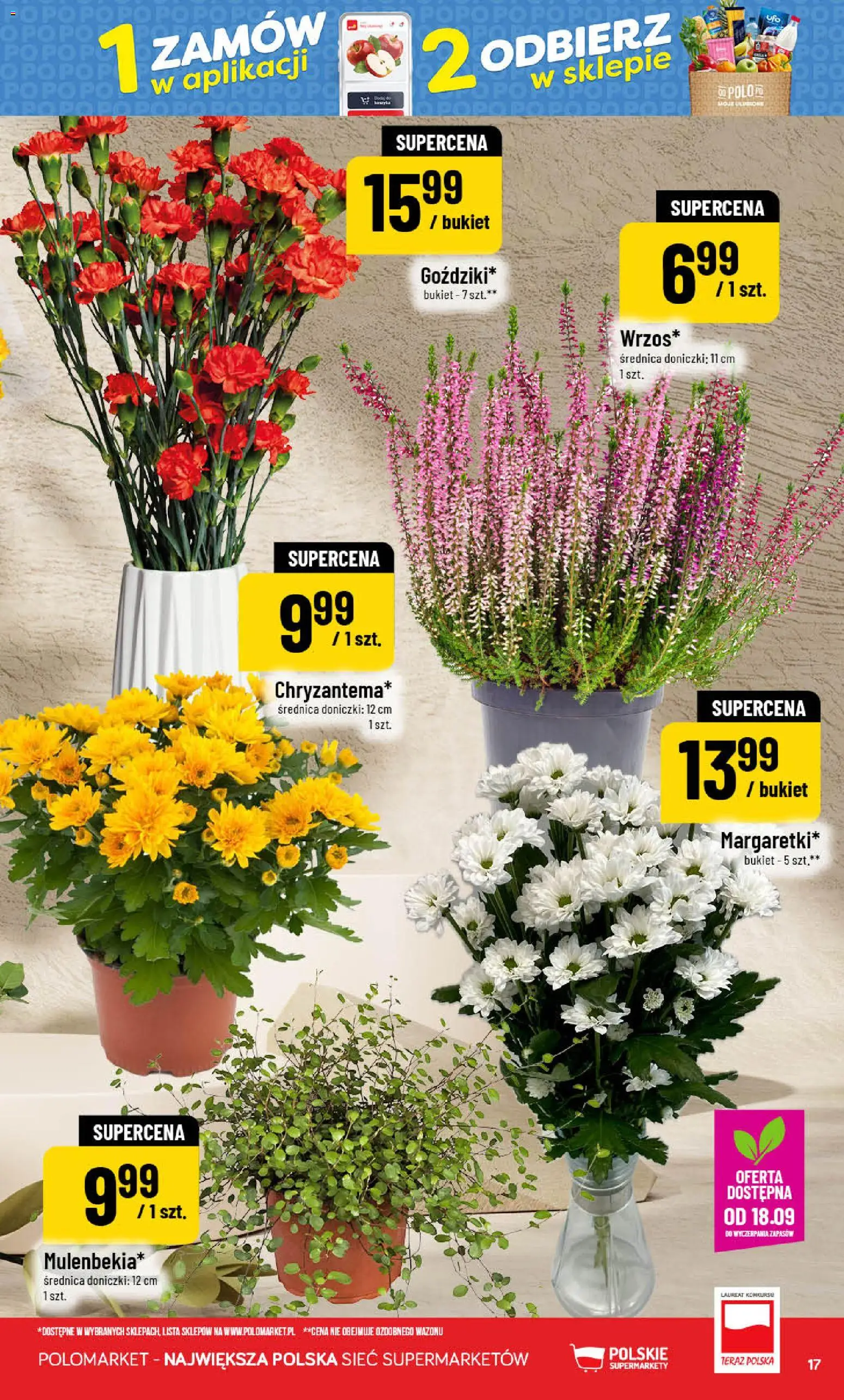 POLOmarket gazetka od 16.09.2026 | Strona: 17