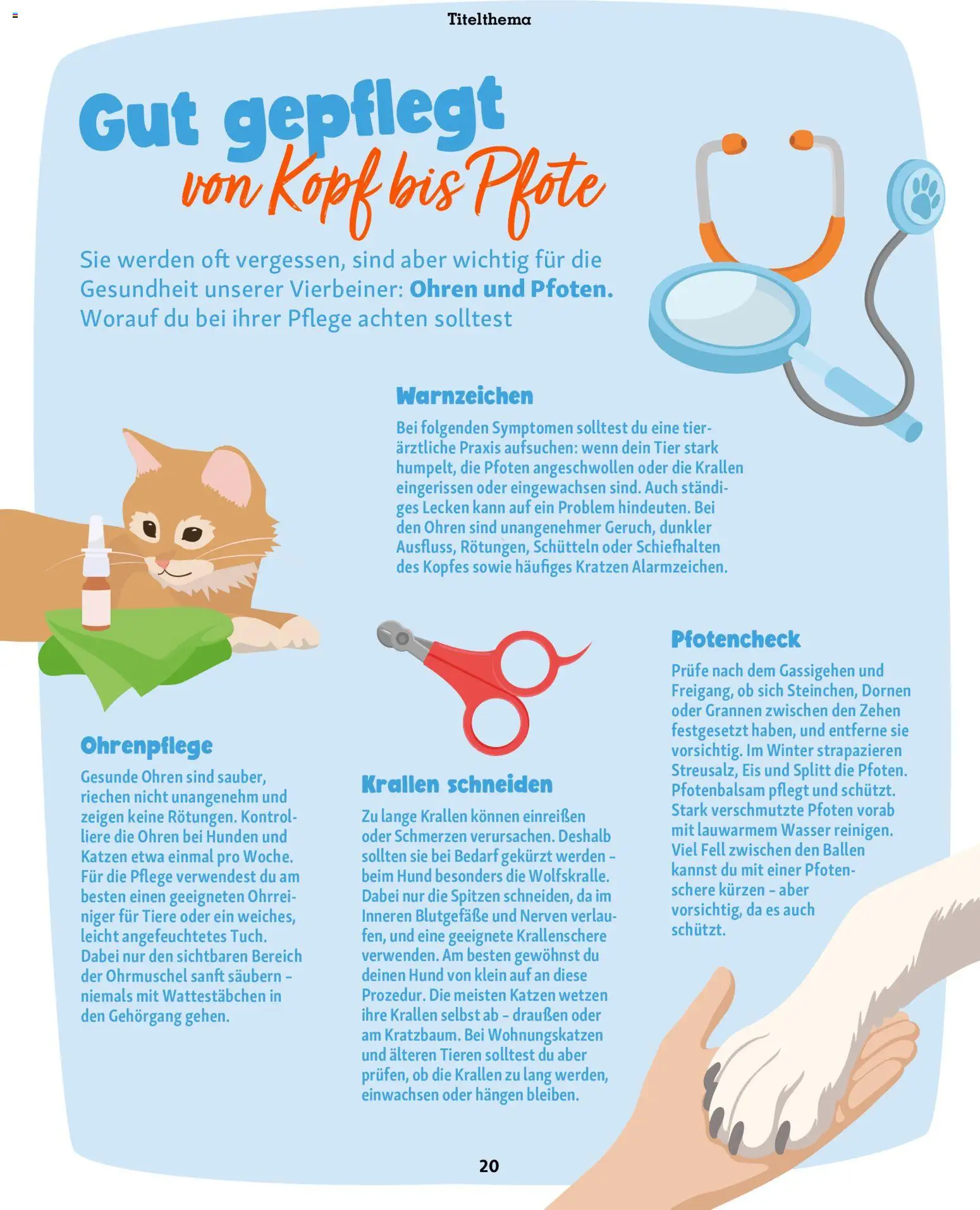 Fressnapf Friends Magazin – gültig ab 01.09.2026 | Seite: 20 | Produkte: Wattestäbchen, Wasser, Eis