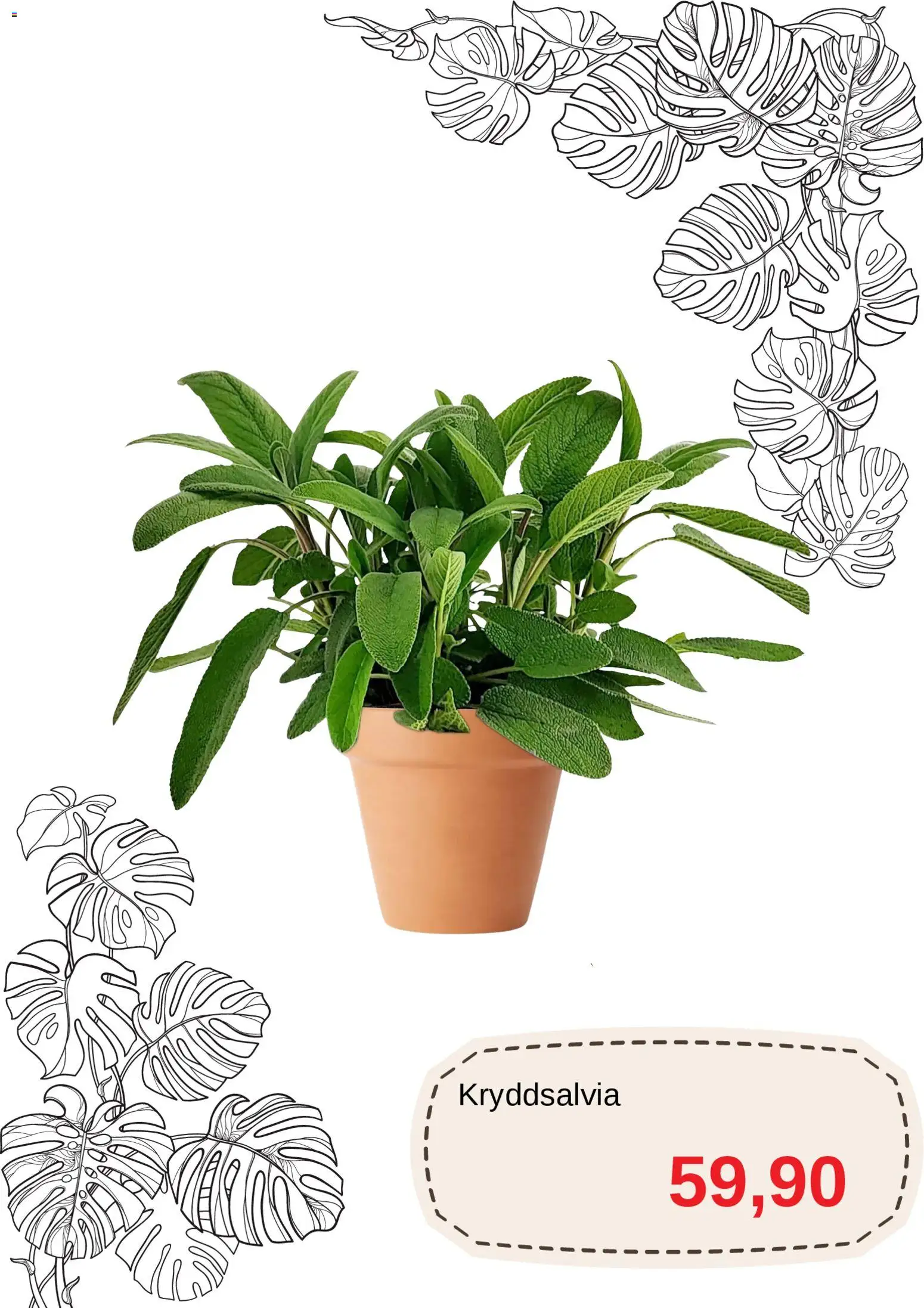 Blomsterlandet reklamblad aktuell från 20.04.2026 | Sida: 10