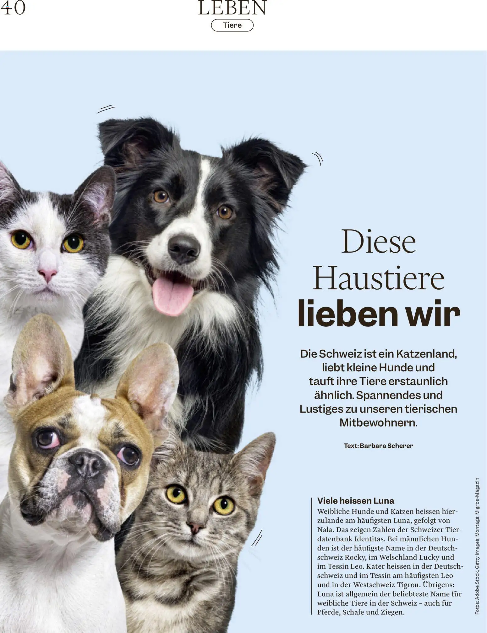 Migros aktionen Magazin – gültig ab 30.09.2026 | Seite: 40