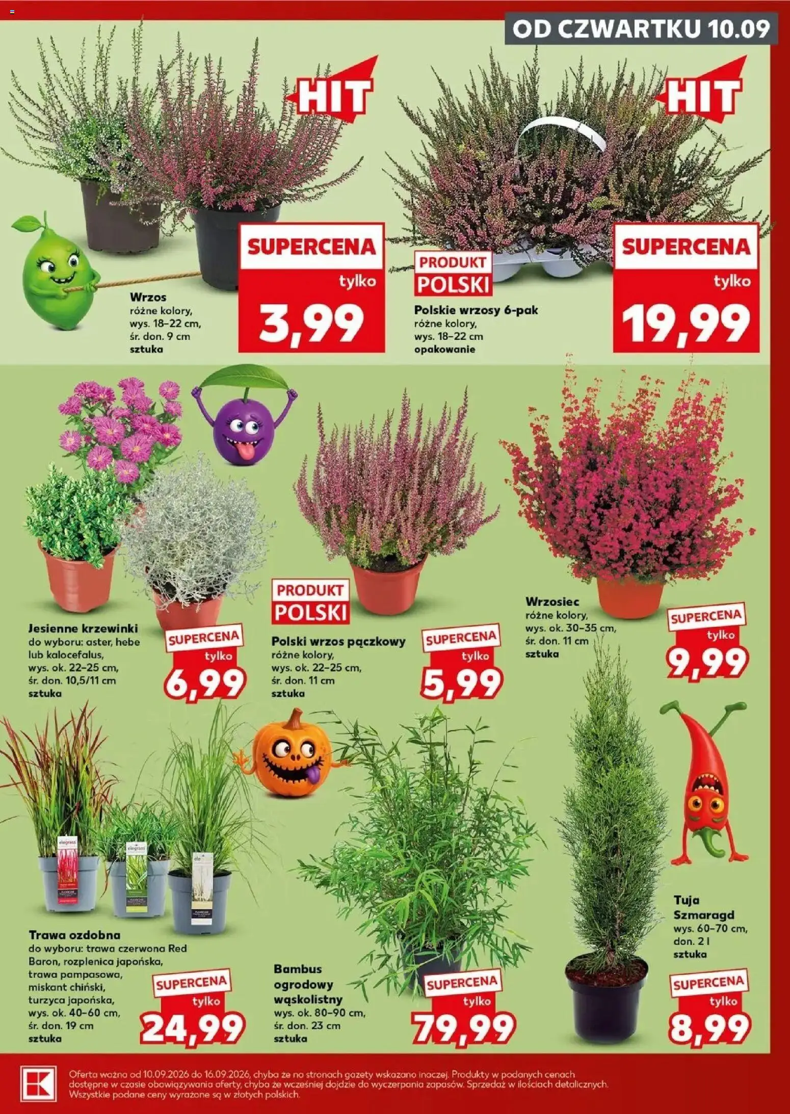 Kaufland gazetka - Mocny start od 14.09.2026 - od jutra PDF | Strona: 7