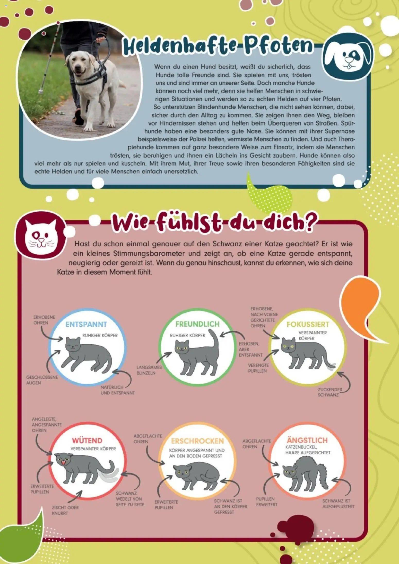 zookauf Kids – gültig ab 01.08.2026 | Seite: 3