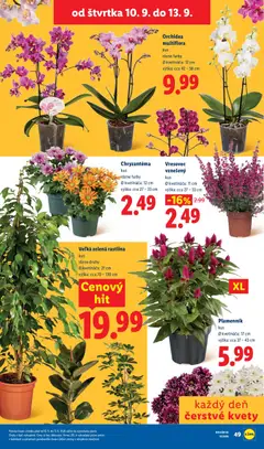 Lidl leták platný od 07.09.2026 | Strana: 75