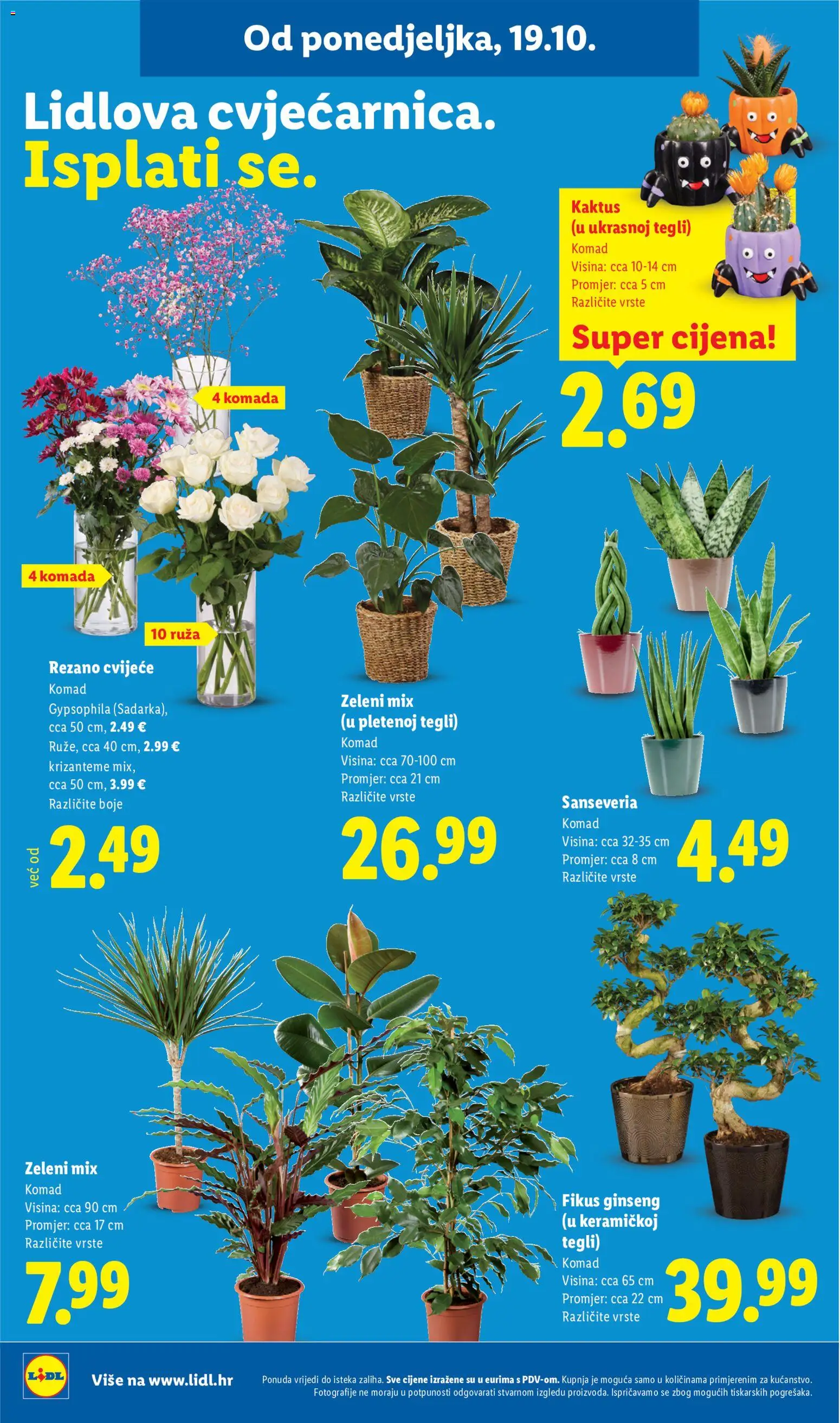 Lidl katalog | vrijedi od 19.10.2026 | Stranica: 52