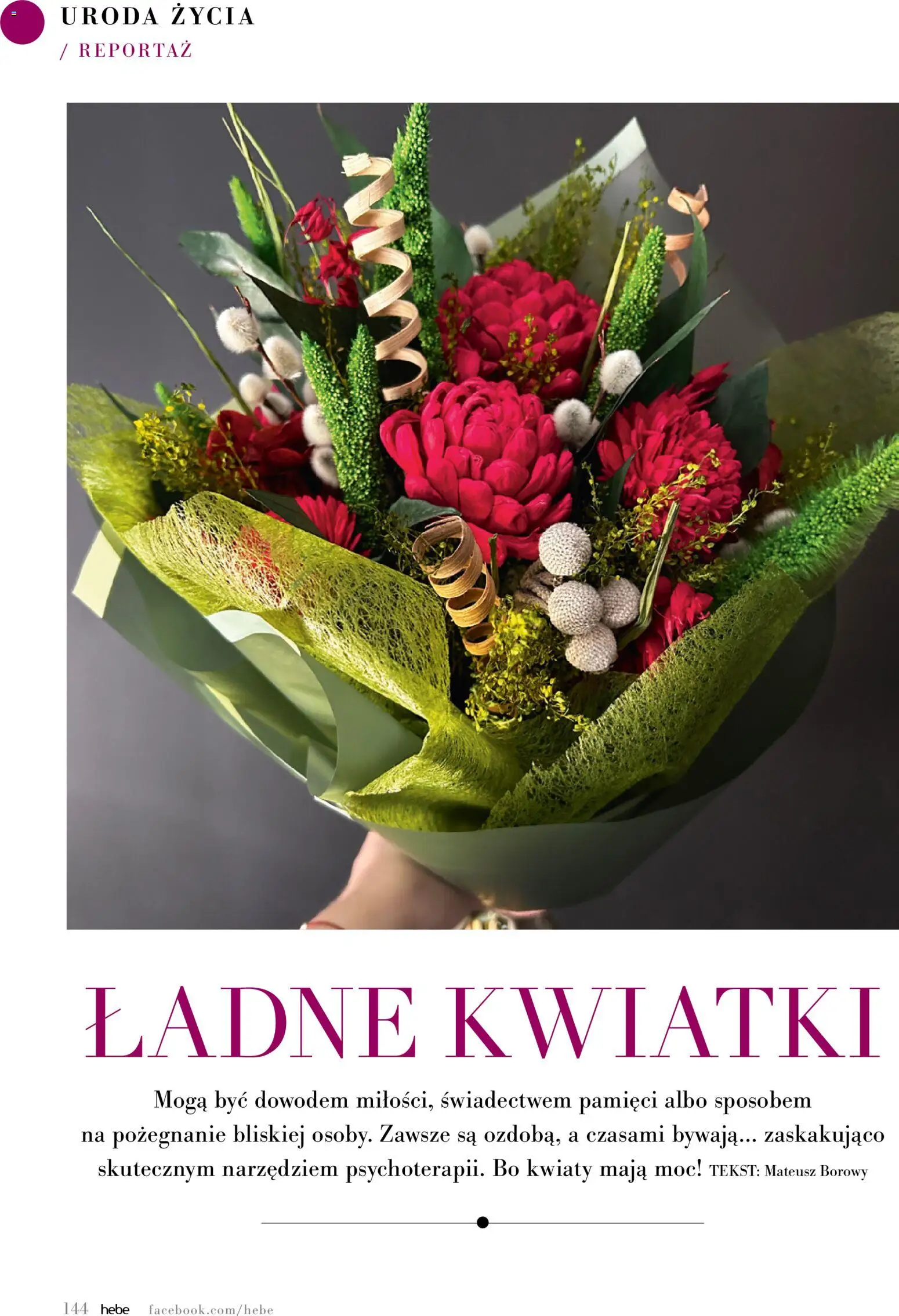 Hebe gazetka - Magazyn od 01.09.2026 | Strona: 144 | Produkty: Kwiatki, Kwiaty