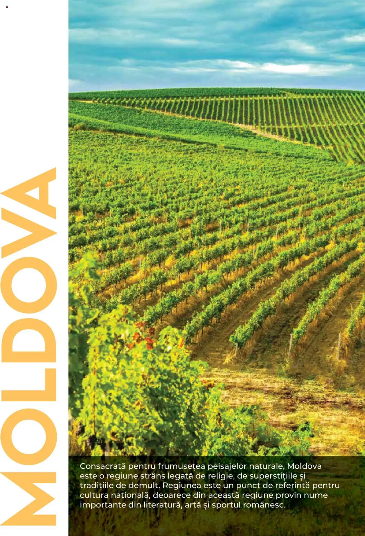 Noul catalog Metro – valabil de la 01.08.2025 | Pagină: 70