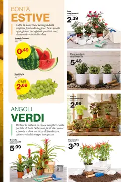 Anteprima del volantino IN's volantino valido a partire dal 29/07/2026 | Pagina: 11