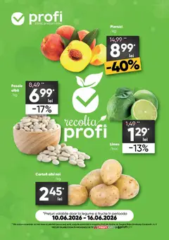 Ofertele Profi valabile de la 10.06.2026