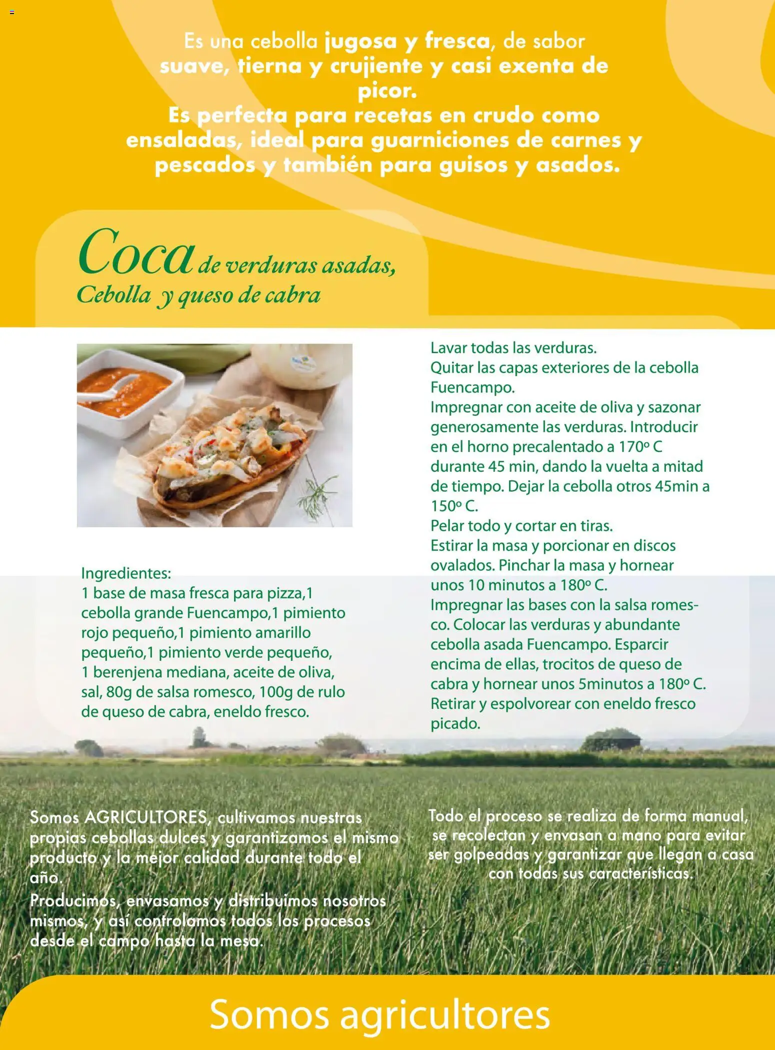 Costco catálogo Otoňo │ válido desde el 14/10/2026 | Página: 30 | Productos: Aceite, Pimiento, Aceite de oliva, Cebolla