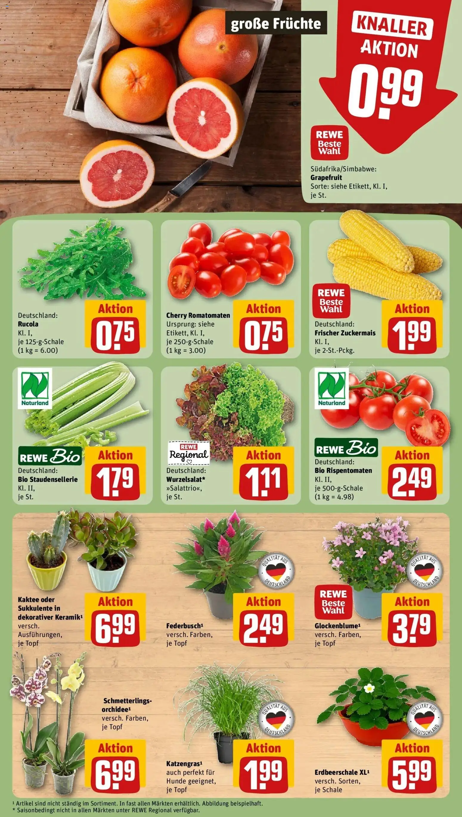 Rewe Prospekt Aachen – gültig ab 27.07.2026 | Seite: 7 | Produkte: Orchidee, Rucola, Grapefruit