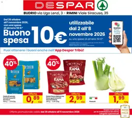 Anteprima del volantino Despar volantino Budrio valido a partire dal 29/10/2026