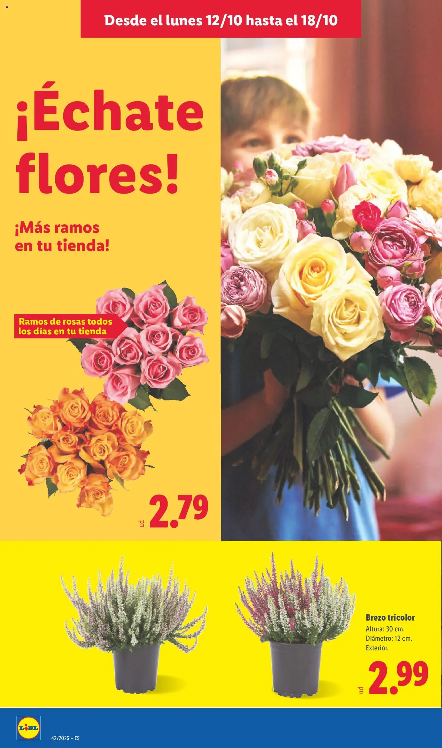 Lidl folleto │ válido desde el 12/10/2026 | Página: 52