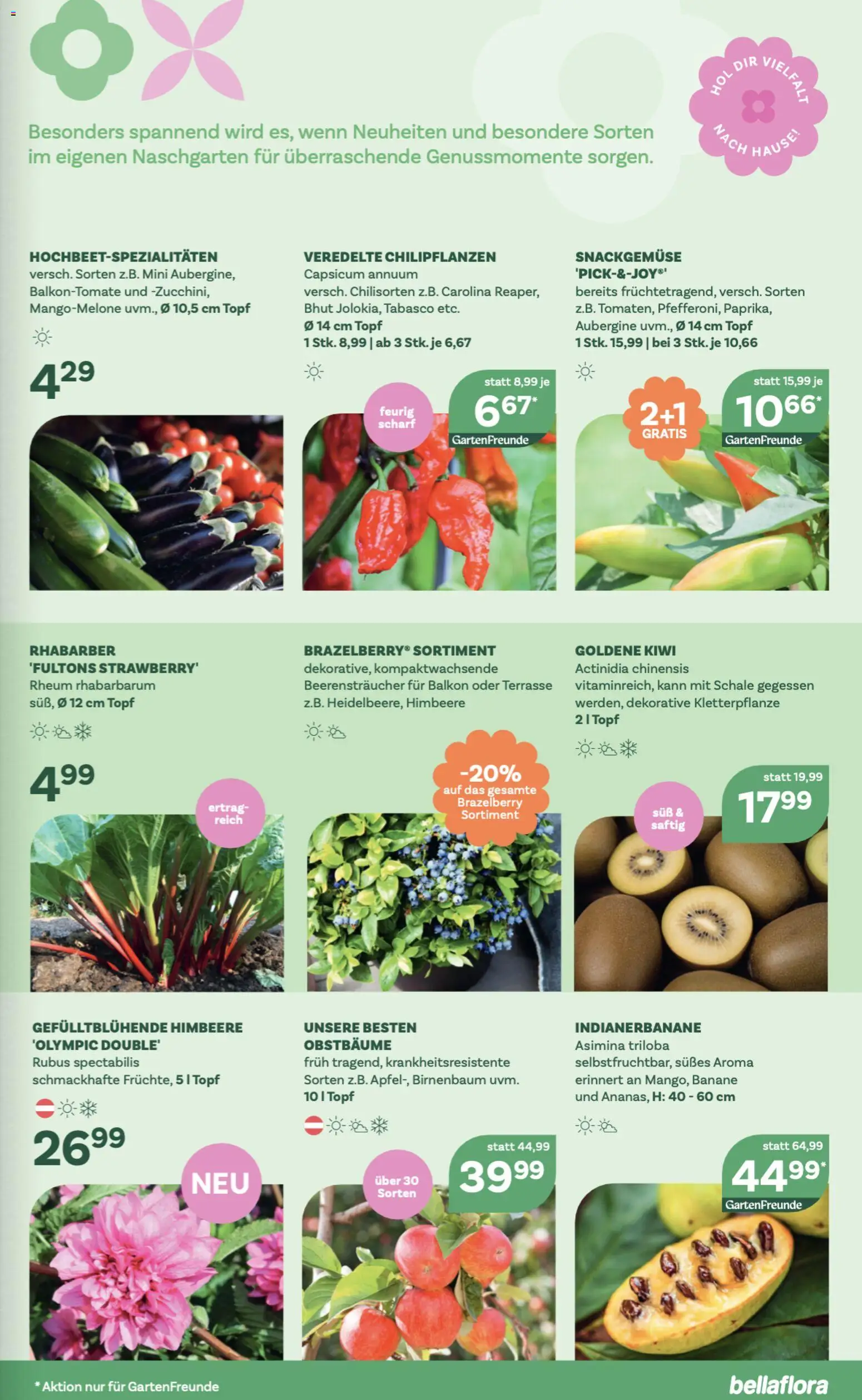 bellaflora Flugblatt gültig ab 23.04.2026 | Seite: 3 | Produkte: Kiwi, Aubergine, Himbeere