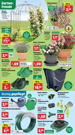 Thomas Philipps Prospekt ab 22.06.2026 gültig | Seite: 4 | Produkte: Blumentopf, Lavendel