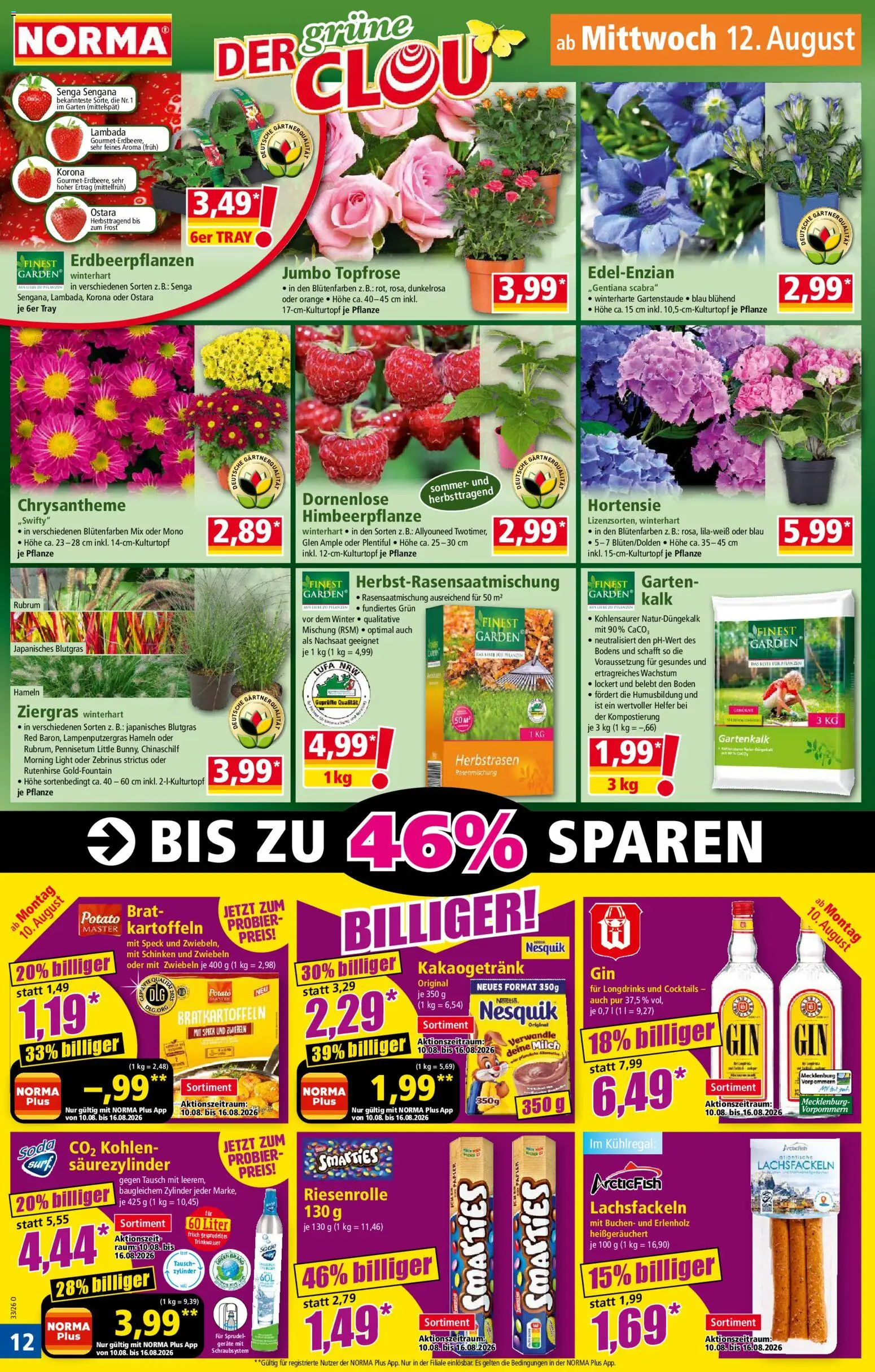 Norma Prospekt – gültig ab 10.08.2026 | Seite: 13 | Produkte: Hortensie, Nesquik, Kartoffeln, Zwiebeln