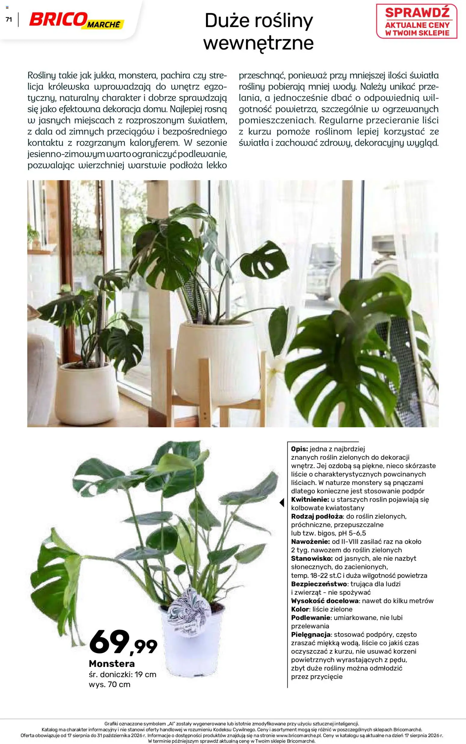 Brico Marché gazetka - Jesienne Inspiracje od 17.08.2026 | Strona: 71 | Produkty: Rosliny, Doniczki