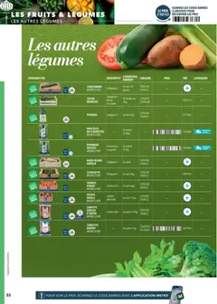 METRO - Prévisualisation de METRO - Restauration asiatique valide à partir de 28/08/2025 | Page: 32 | Produits: Patate douce, Carottes rapees, Céleri, Carotte