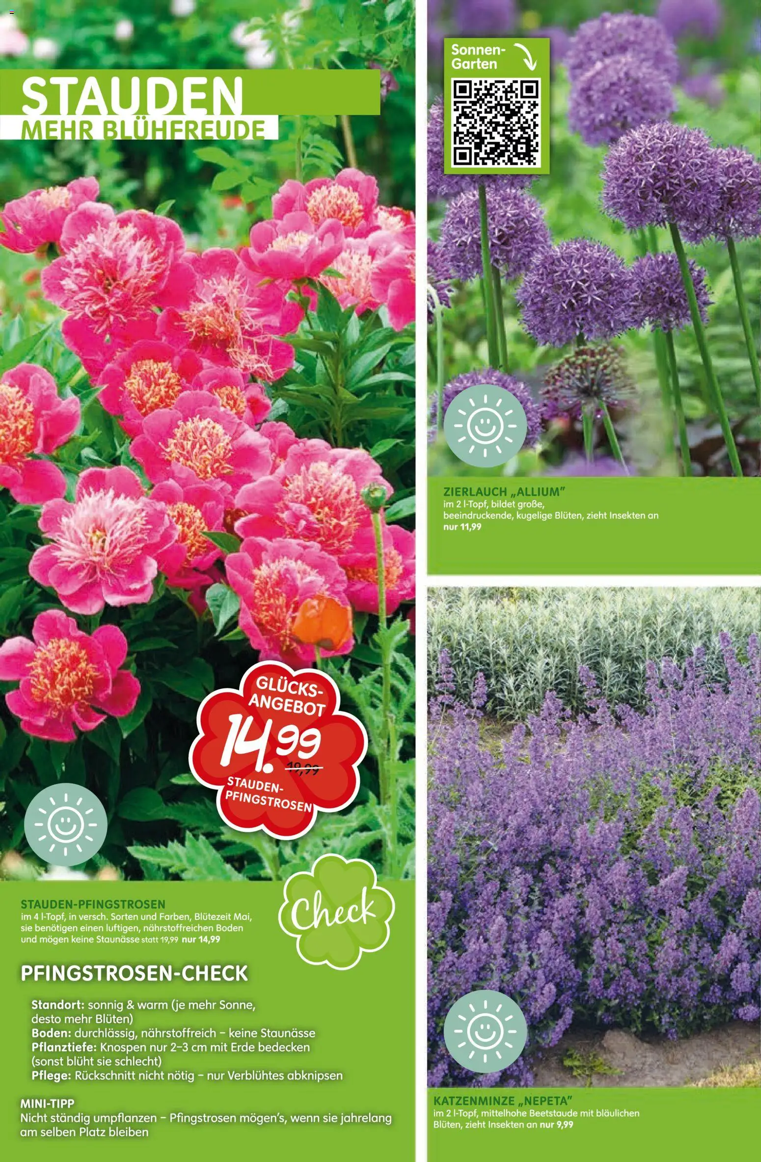 Blumen Risse Prospekt Blumenmarkt – gültig ab 28.05.2026 | Seite: 14