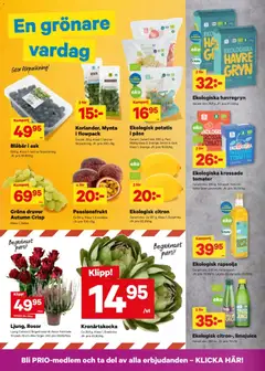 City Gross erbjudanden - Förhandsvisning av reklamblad från butik City Gross aktuell från 07/09/2026 | Sida: 4