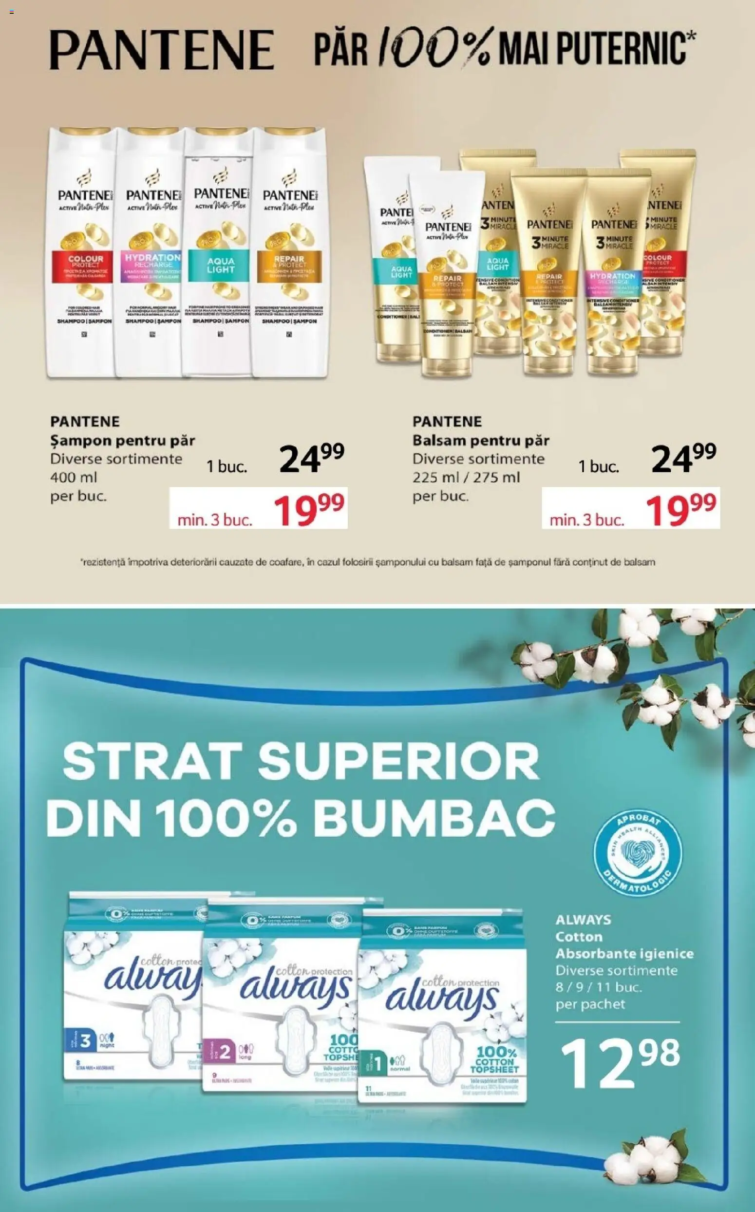 Noul catalog Selgros – valabil de la 30.10.2026 | Pagină: 16 | Produse: Active, Șampon, Balsam, Absorbante