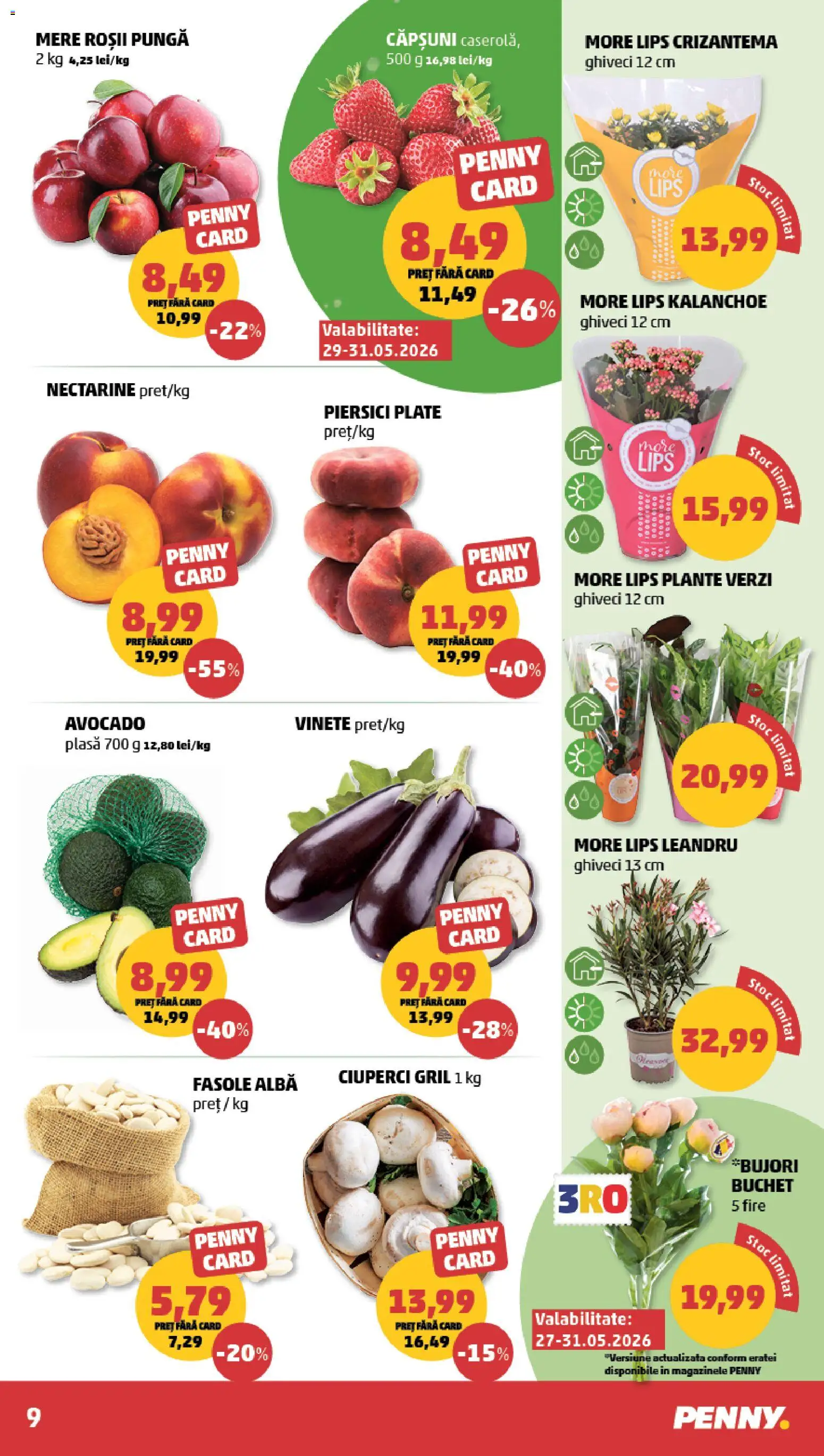 Noul catalog PENNY – valabil de la 27.05.2026 | Pagină: 9 | Produse: Temizlik kovası, Ghiveci, Ciuperci, Avocado