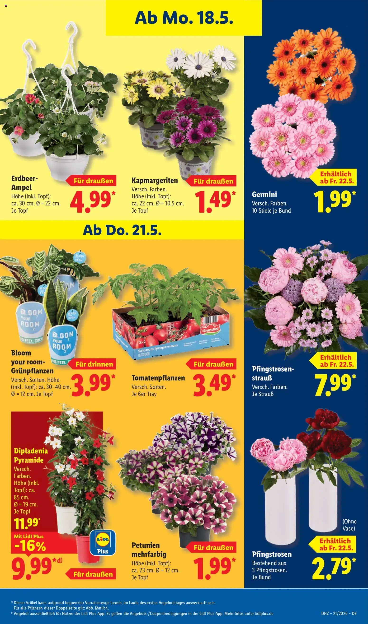 Lidl Prospekt – gültig ab 18.05.2026 | Seite: 71 | Produkte: Vase