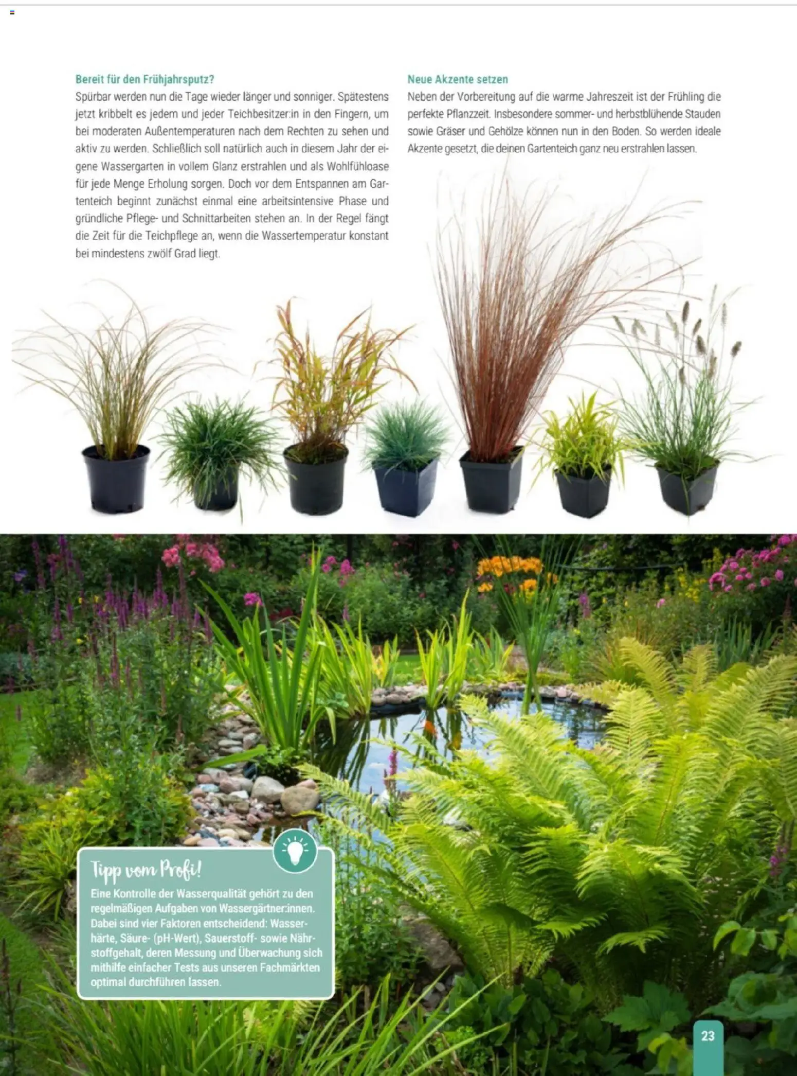 zookauf Themenkatalog Teich – gültig ab 23.03.2026 | Seite: 23 | Produkte: Wasser