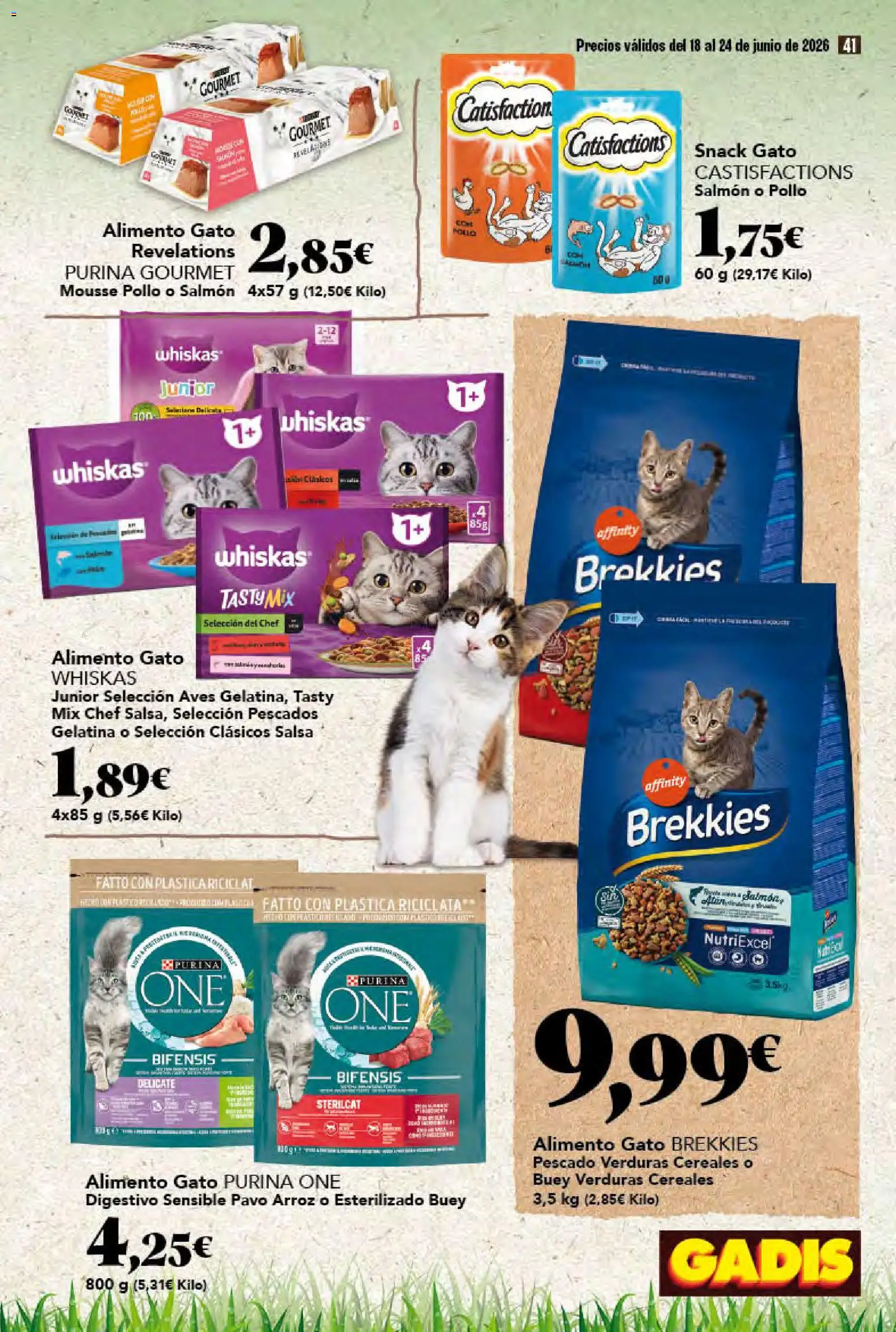 Gadis folleto │ válido desde el 18.06.2026 | Página: 41
