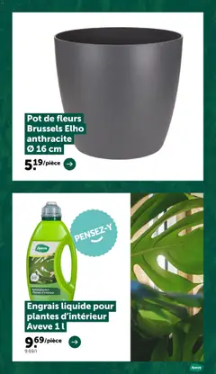 Aveve publicité - Voorbeeld van een folder van Aveve, geldig van 09/09/2026 | Pagina: 7 | Producten: Kamerplanten, Pot