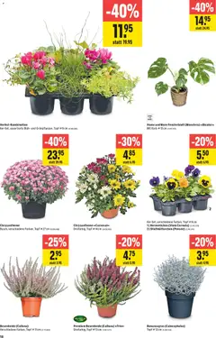 Jumbo aktionen ab 24.09.2026 gültig | Seite: 18 | Produkte: Korb