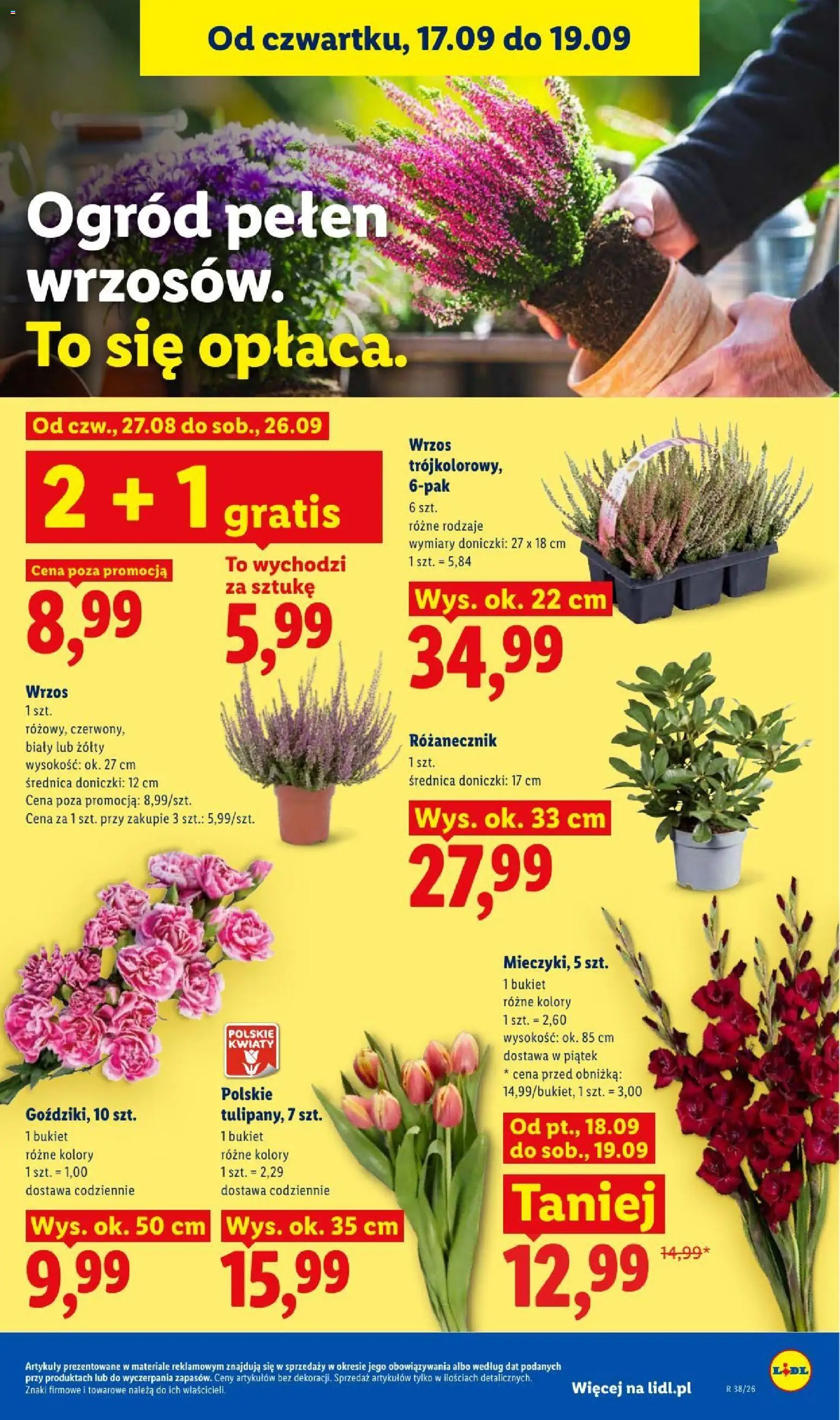Lidl gazetka od 17.09.2026 | Strona: 85