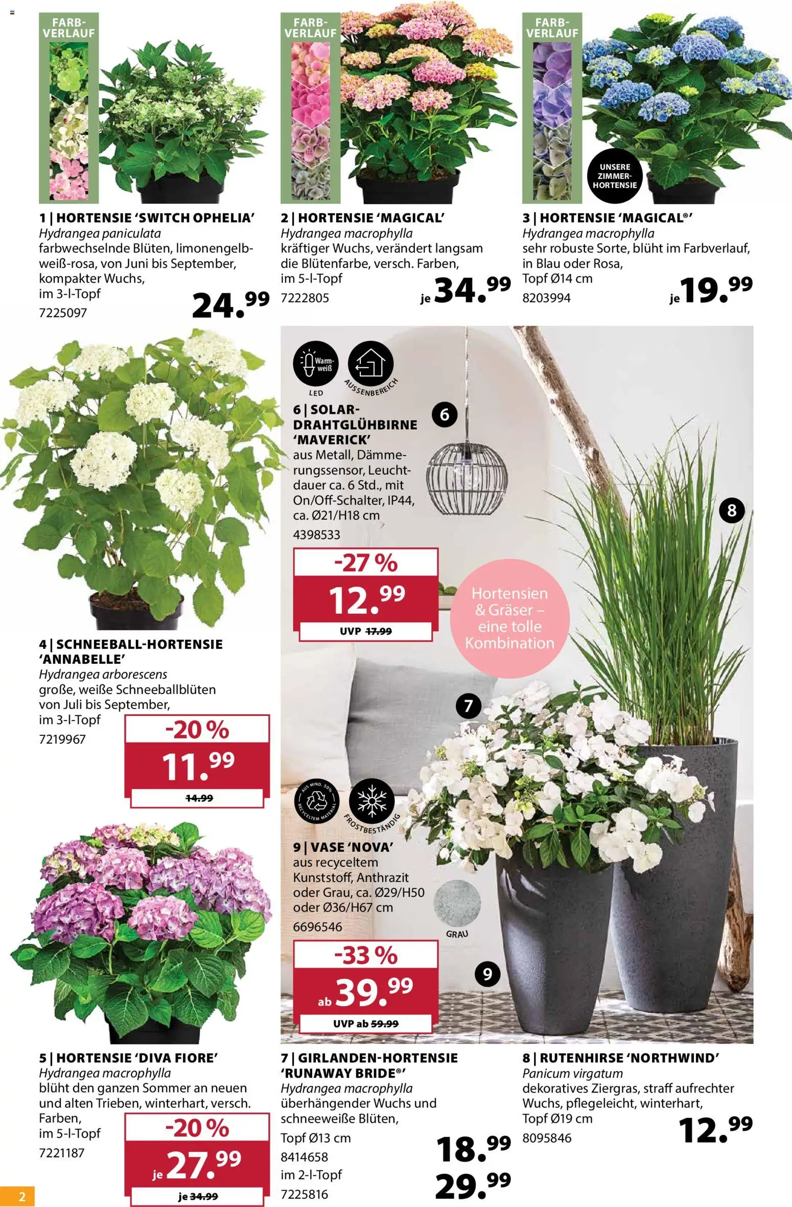 Dehner Prospekt – gültig ab 10.06.2026 | Seite: 2 | Produkte: Hortensie, Vase