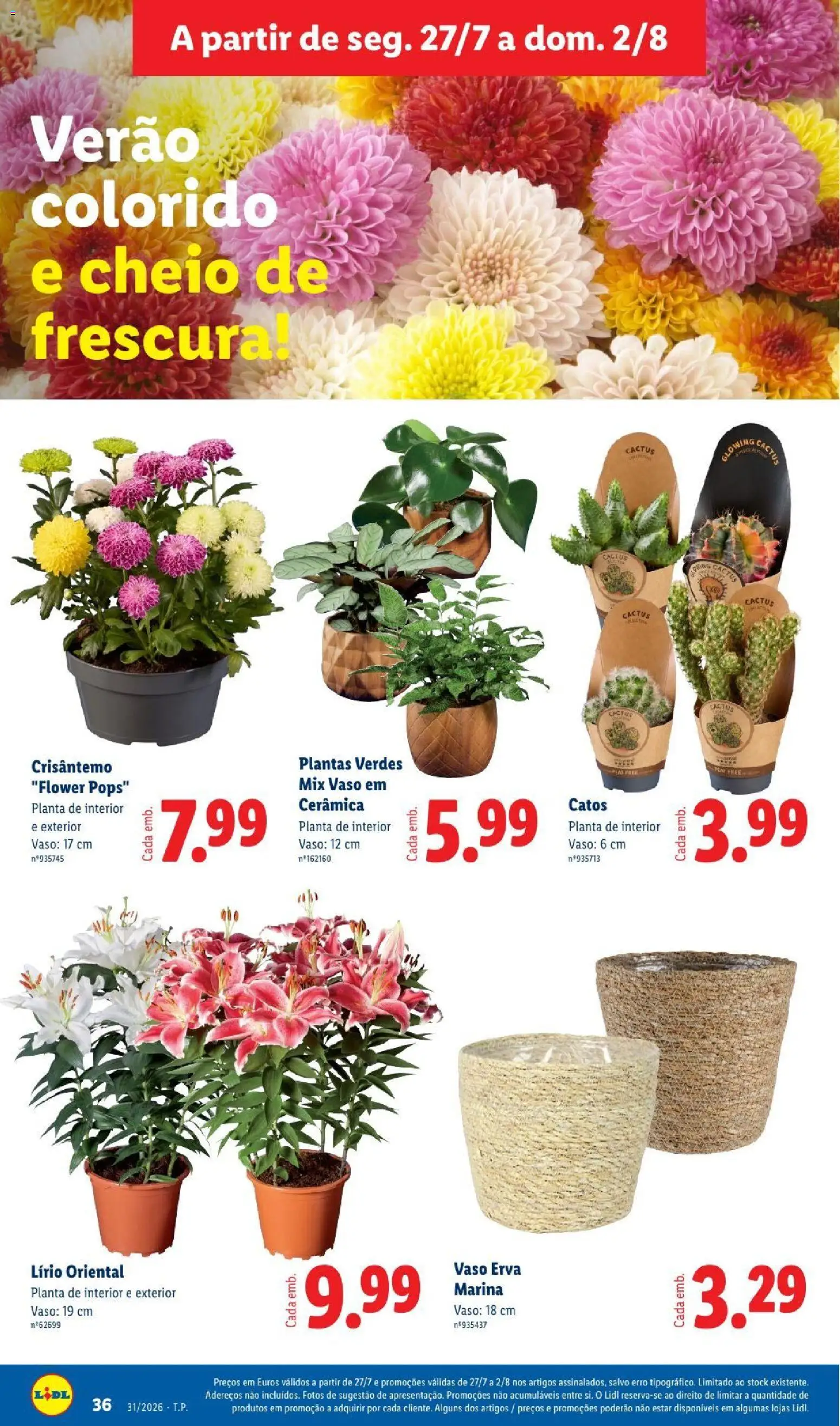 Lidl folheto │ válido de 27/07/2026 | Página: 36 | Produtos: Vaso