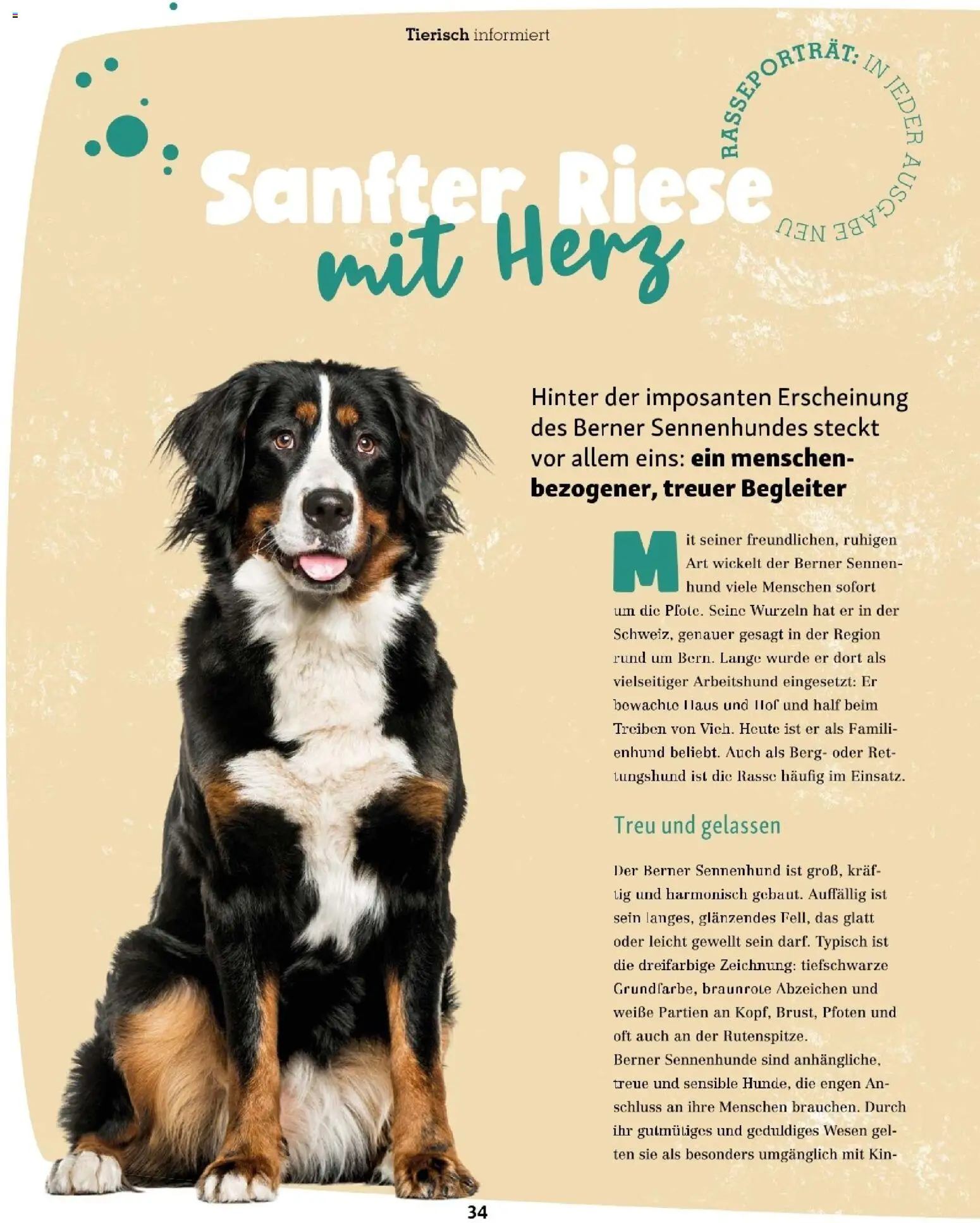 Fressnapf Friends 09,10 /26 gültig ab 01.09.2026 | Seite: 34