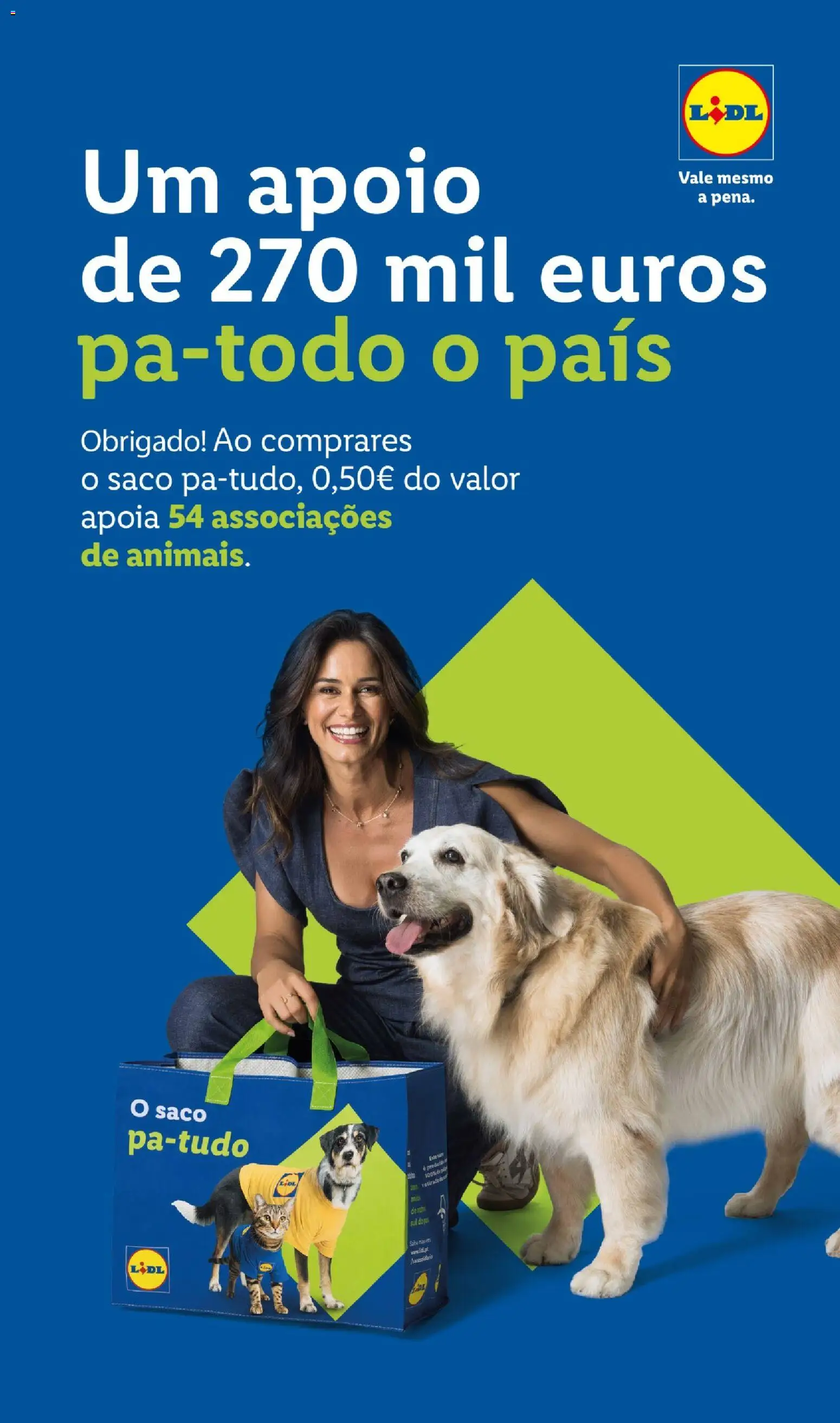 Lidl folheto │ válido de 19/10/2026 | Página: 43